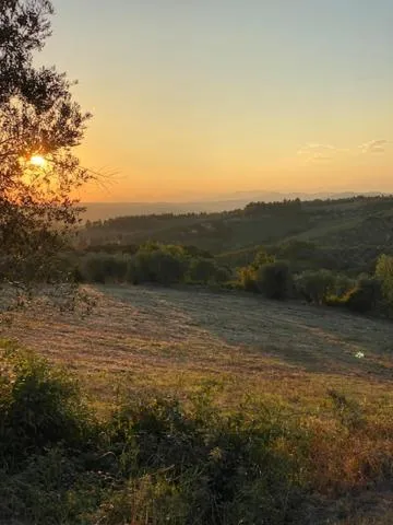 Property building in La Magnolia