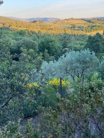 Property building in La Magnolia