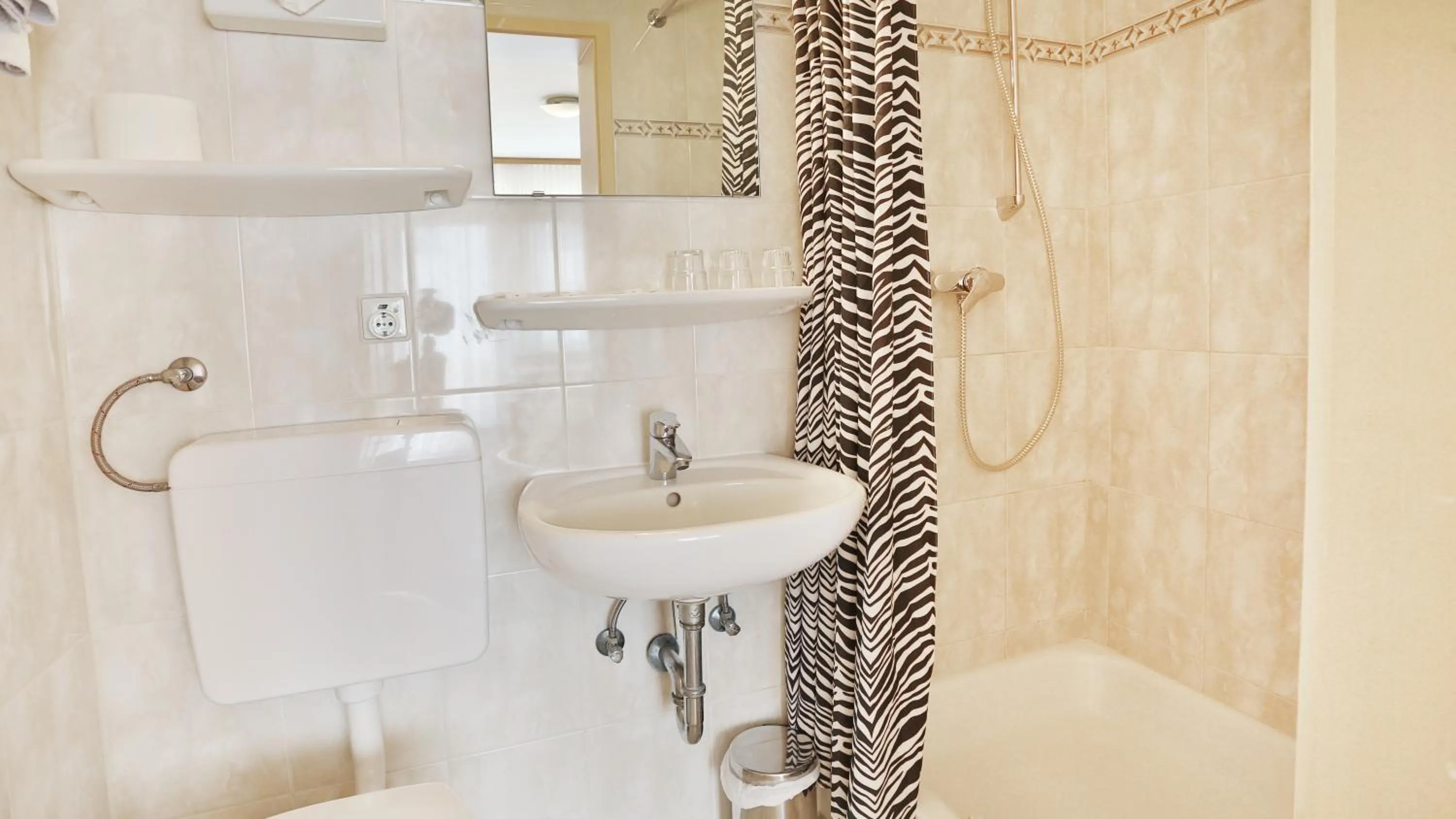 Shower in Hotel Europa Pforzheim