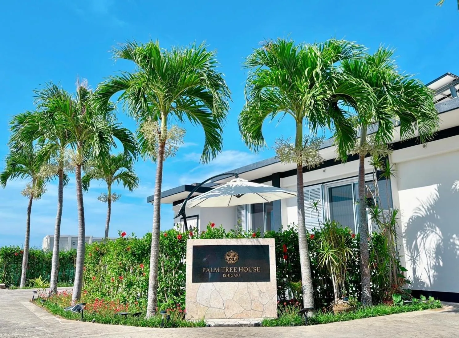 Palm Tree House Ishigaki - パームツリーハウス石垣