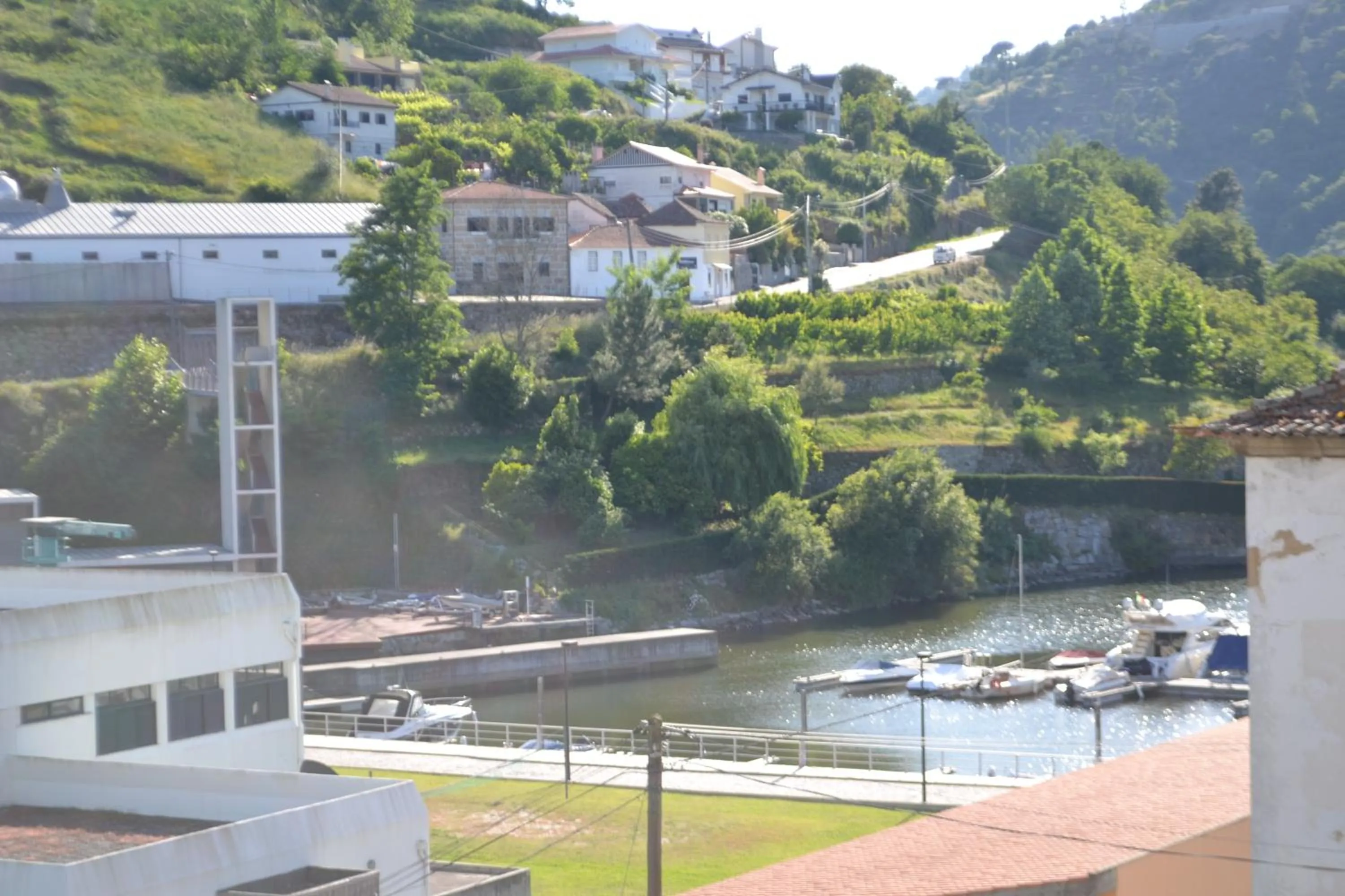 Natural landscape in Hotel Comércio