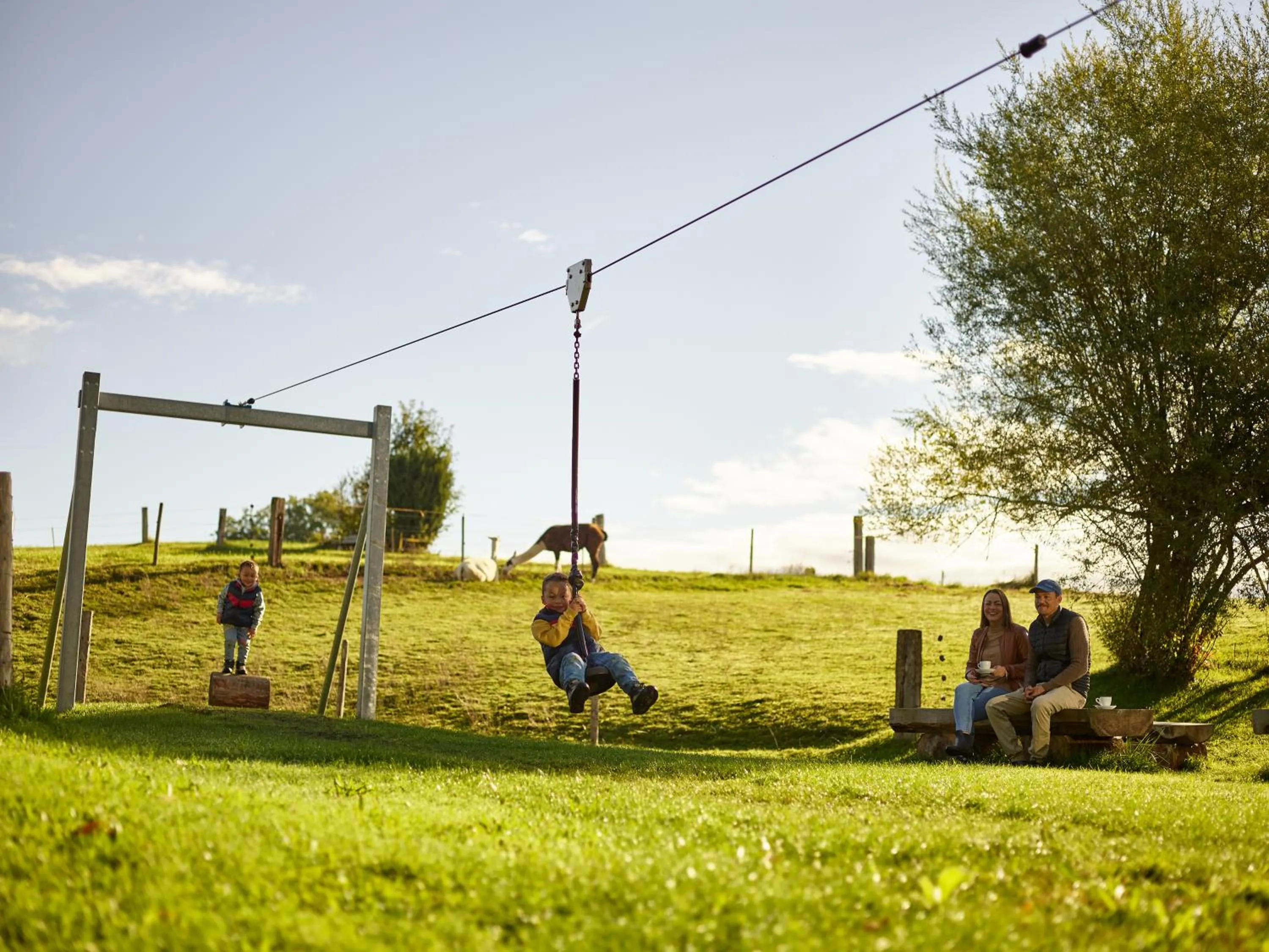 Erlebnisland Grizzlybär