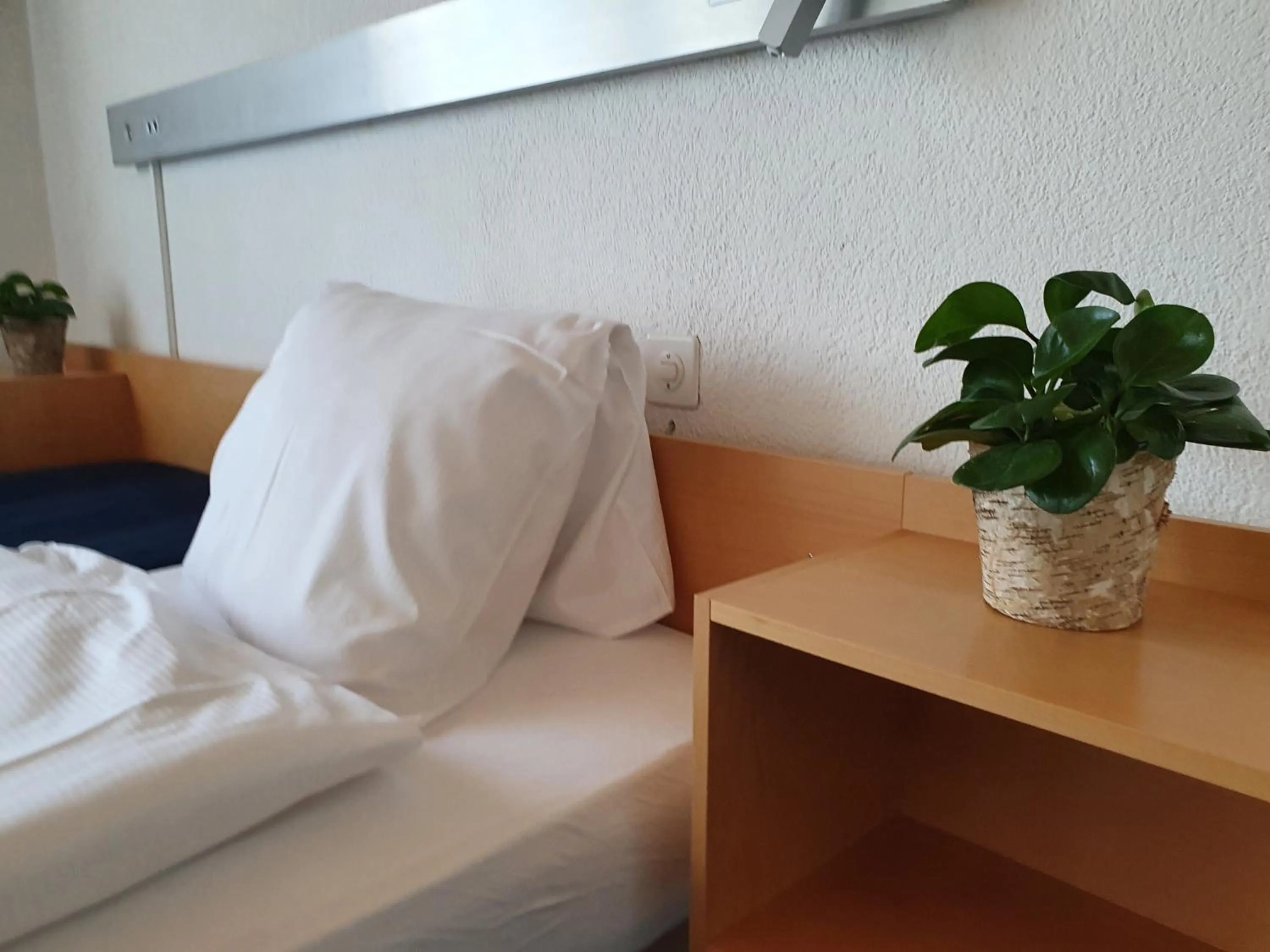 Bed in Erlebnisland Grizzlybär