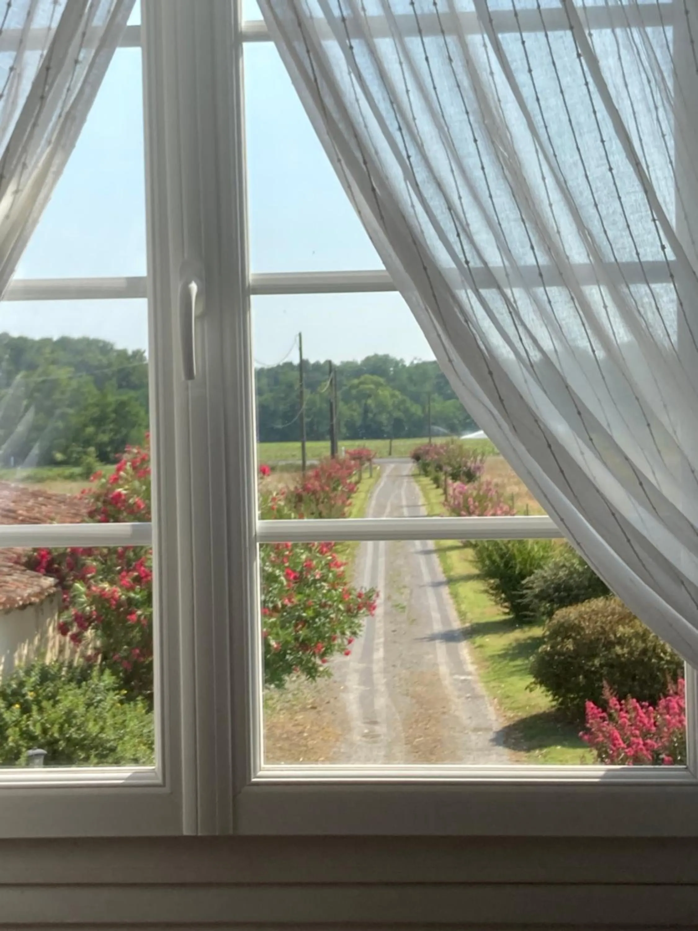 View (from property/room) in L'Intemporelle