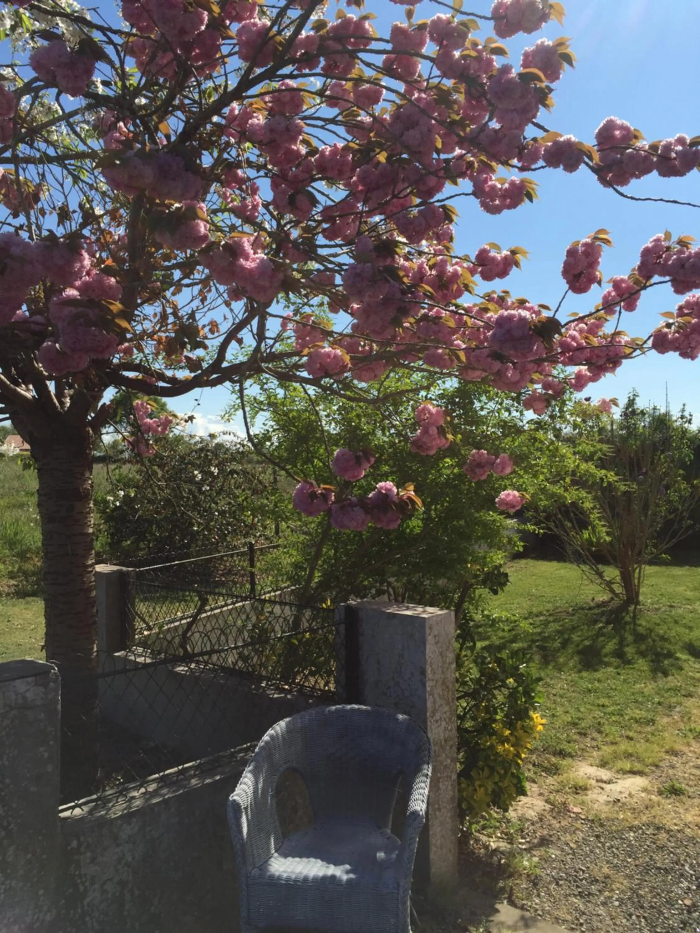 Garden in L'Intemporelle