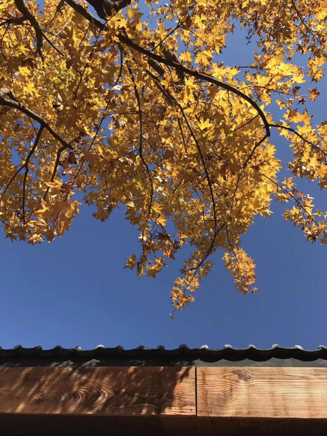 Day in Sansa Village Boutique Hotel at Mutianyu Great Wall Adjoin to Mutianyu Great Wall - Room with the View of Great Wall - Jacuzzi with the View of Great Wall - Vehicle Shuttle Service - International Catering - SPA& Nail Beauty Facilities