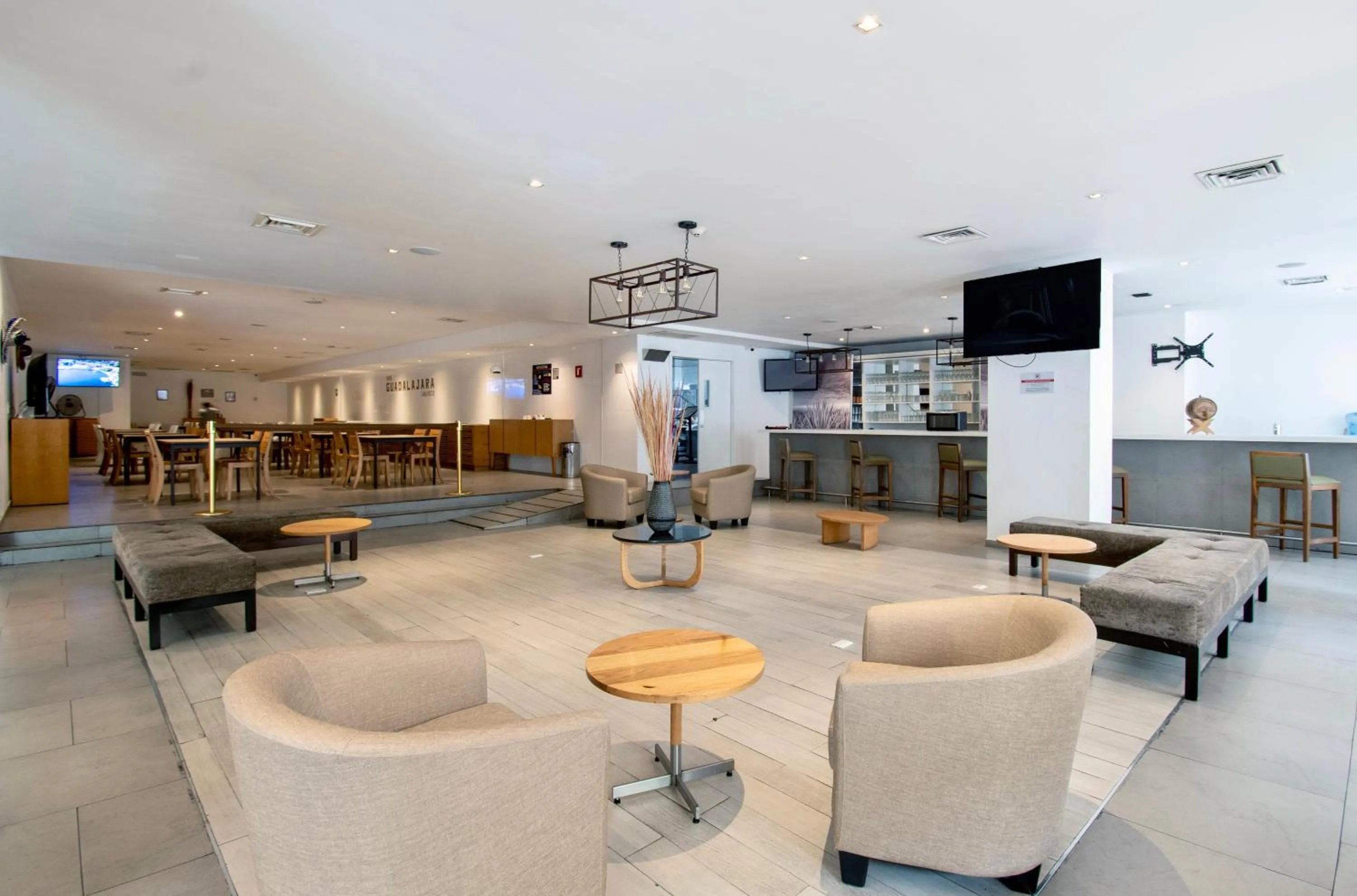 Lounge or bar in Hotel Plaza Génova Centro