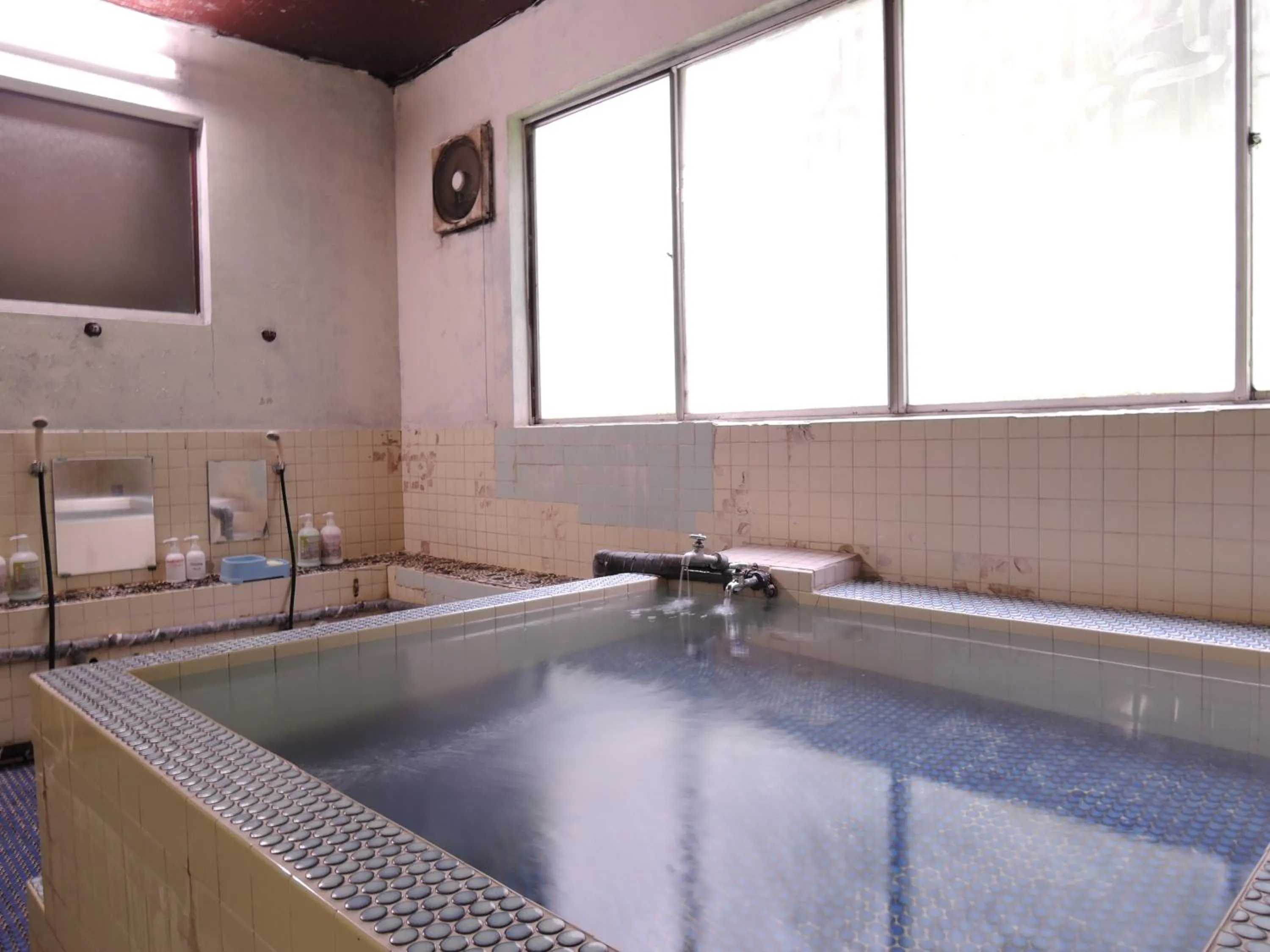 Public Bath in Shintaku Sanso