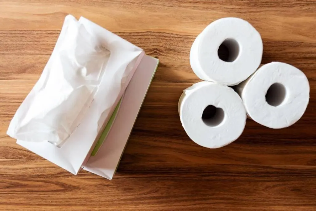 Area and facilities in The COMFORIA