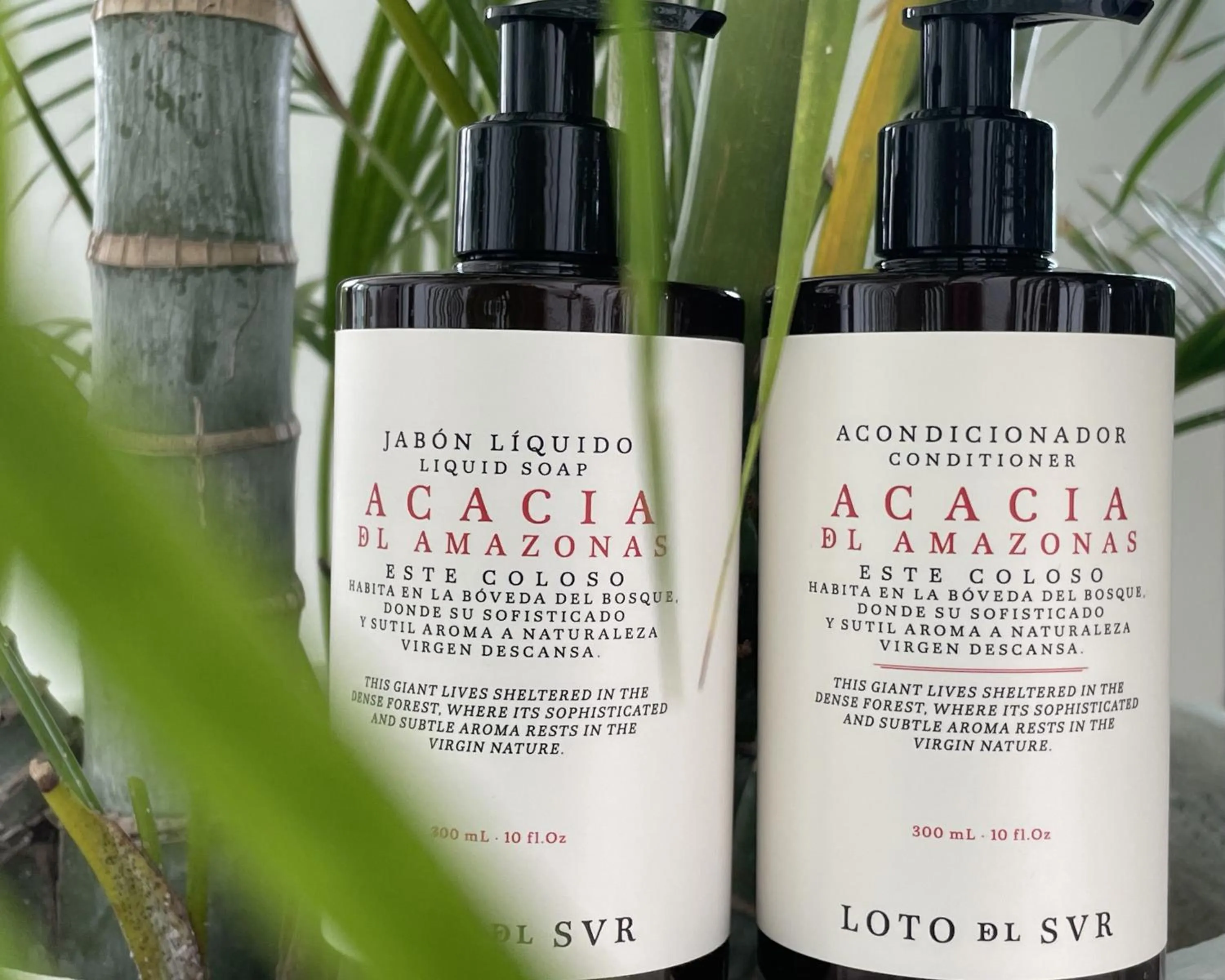 Toilet in MuchoSur Quimbaya