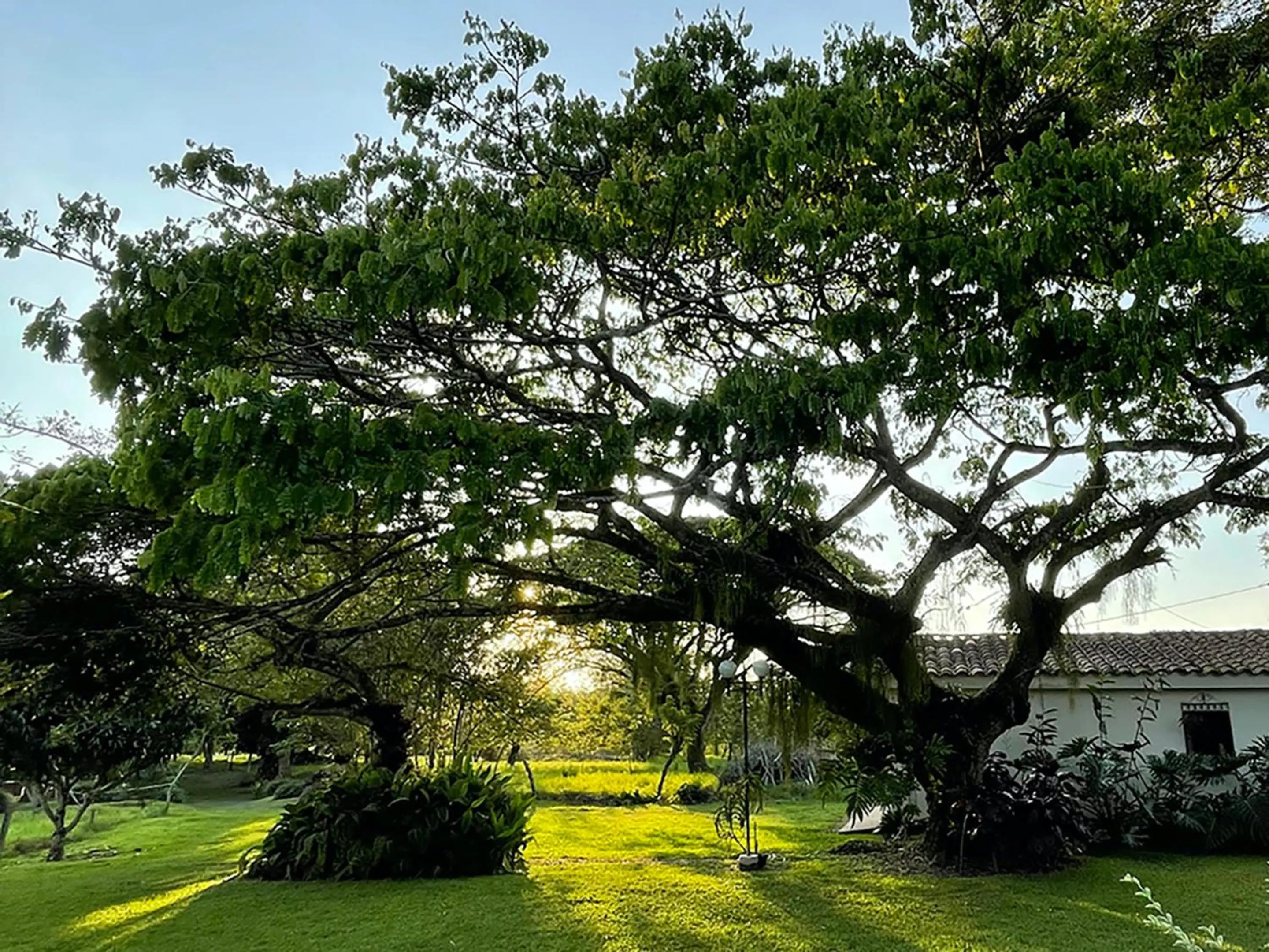 Natural landscape in MuchoSur Quimbaya