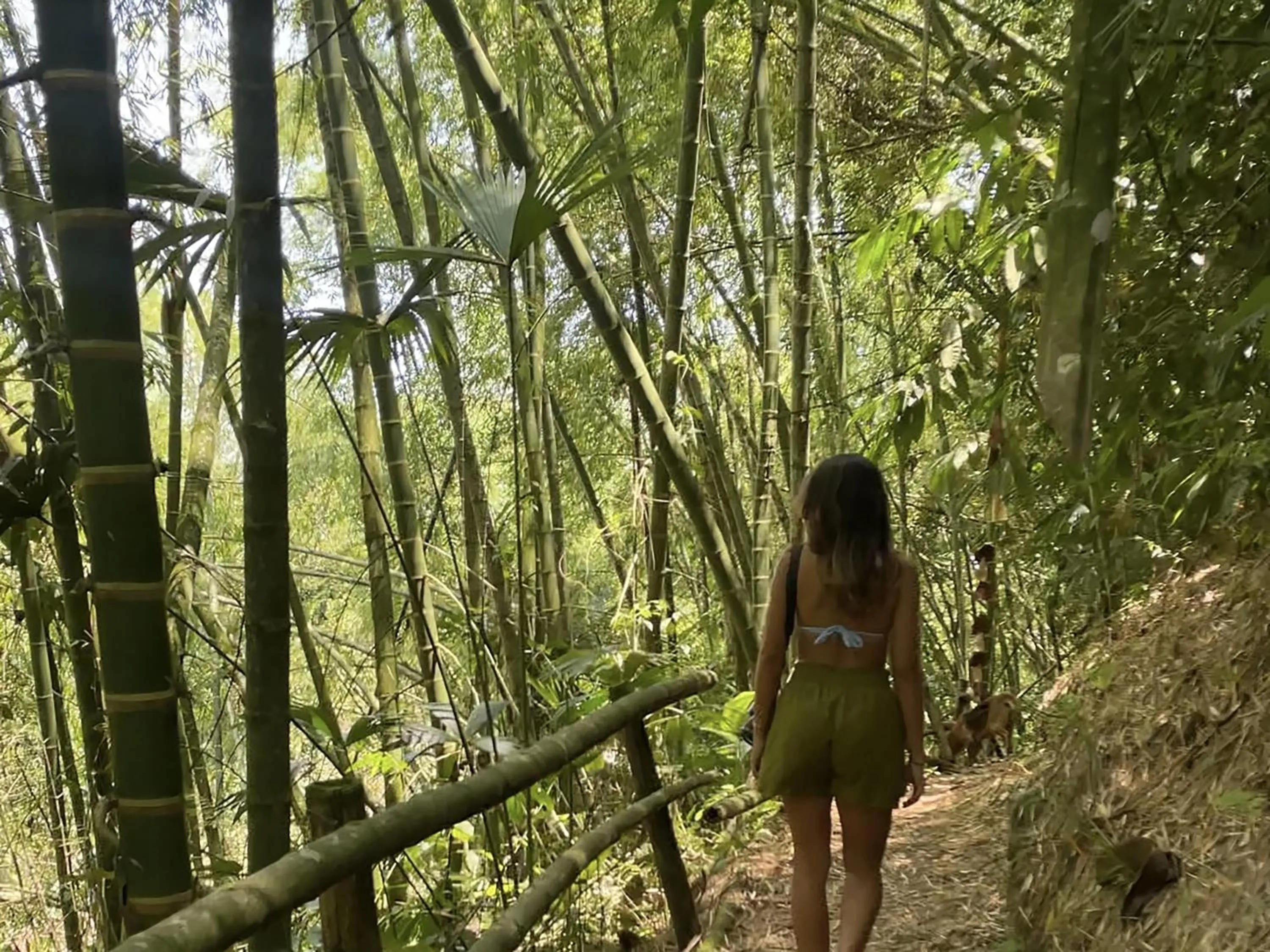 Natural landscape in MuchoSur Quimbaya