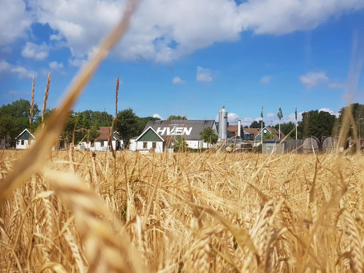 Garden in Spirit of Hven Backafallsbyn