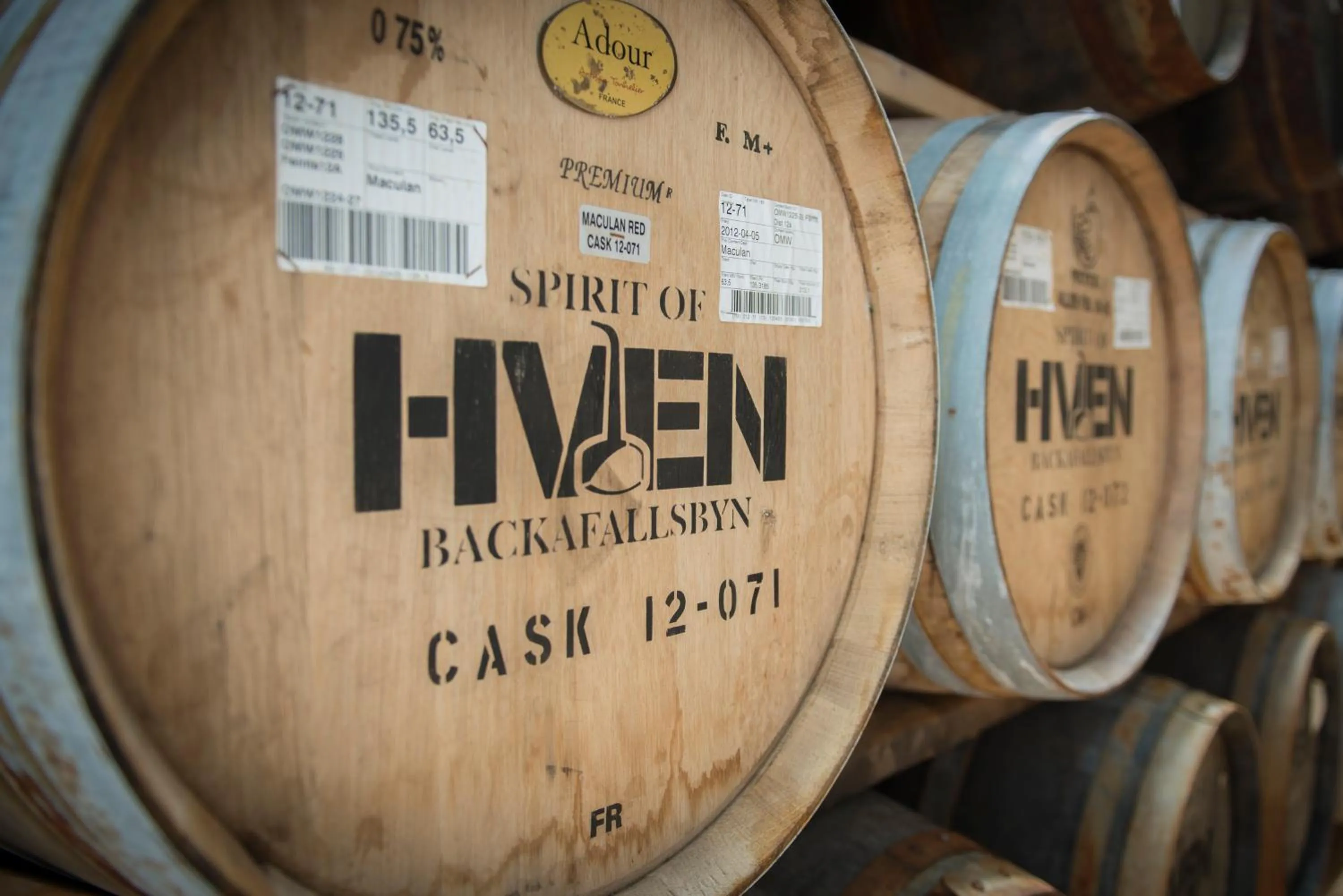 Entertainment in Spirit of Hven Backafallsbyn