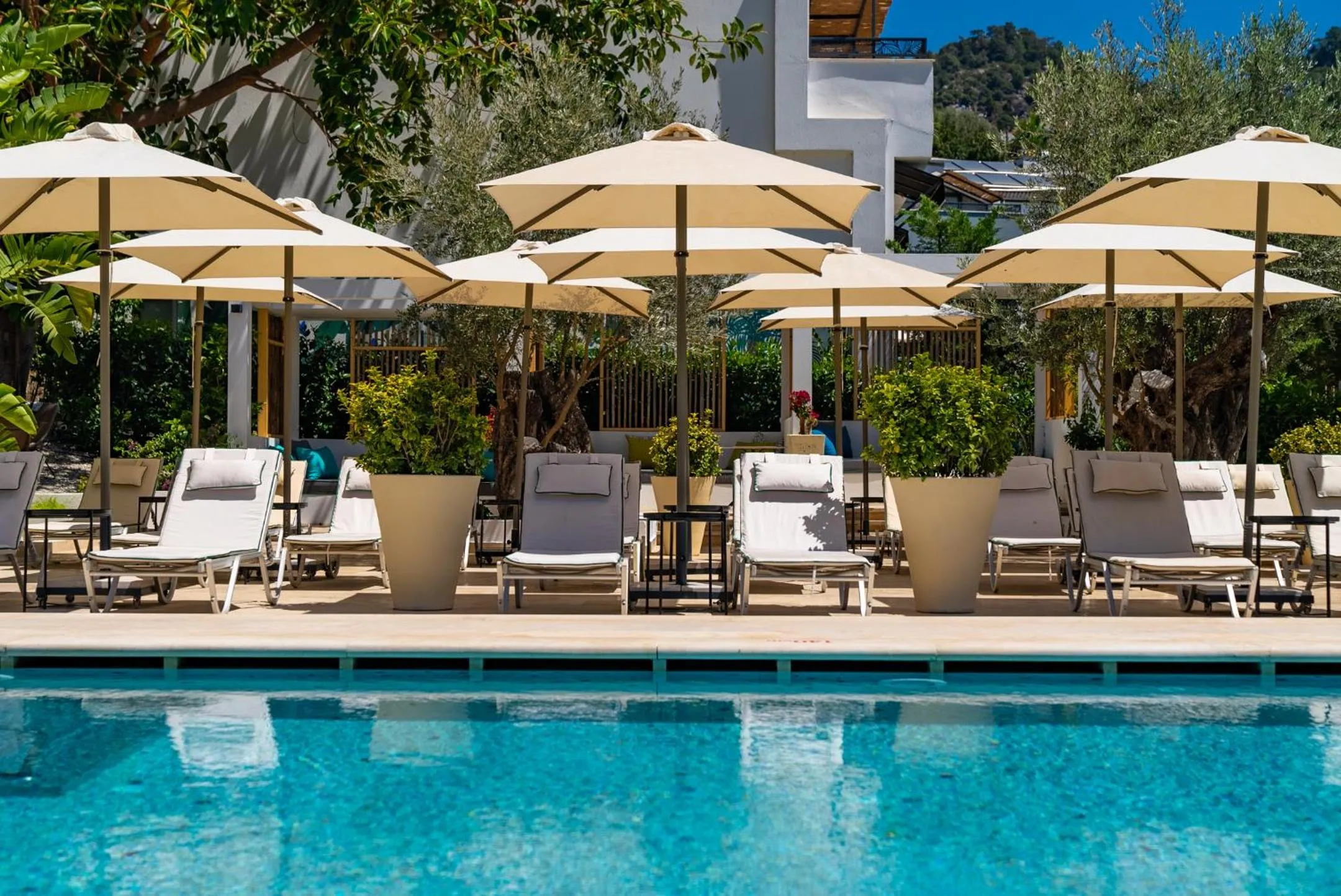 Ölüdeniz Blu Luxury Unique Hotel - Adults-Only