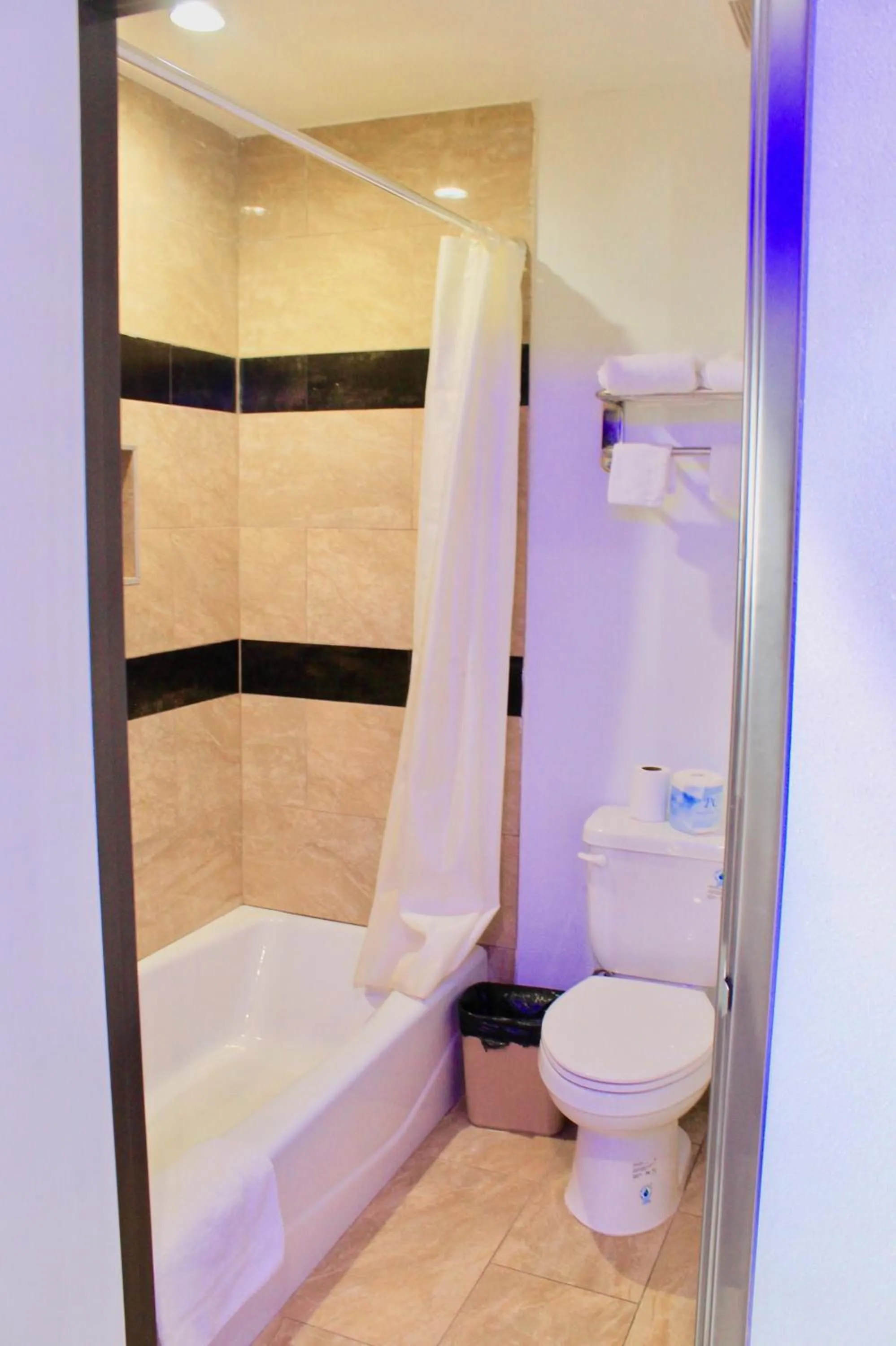 Shower in Arlington Motel