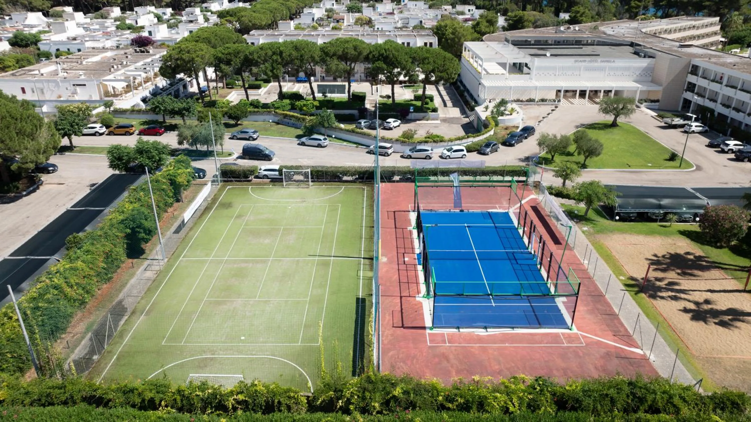 Activities in VOI Daniela Essentia