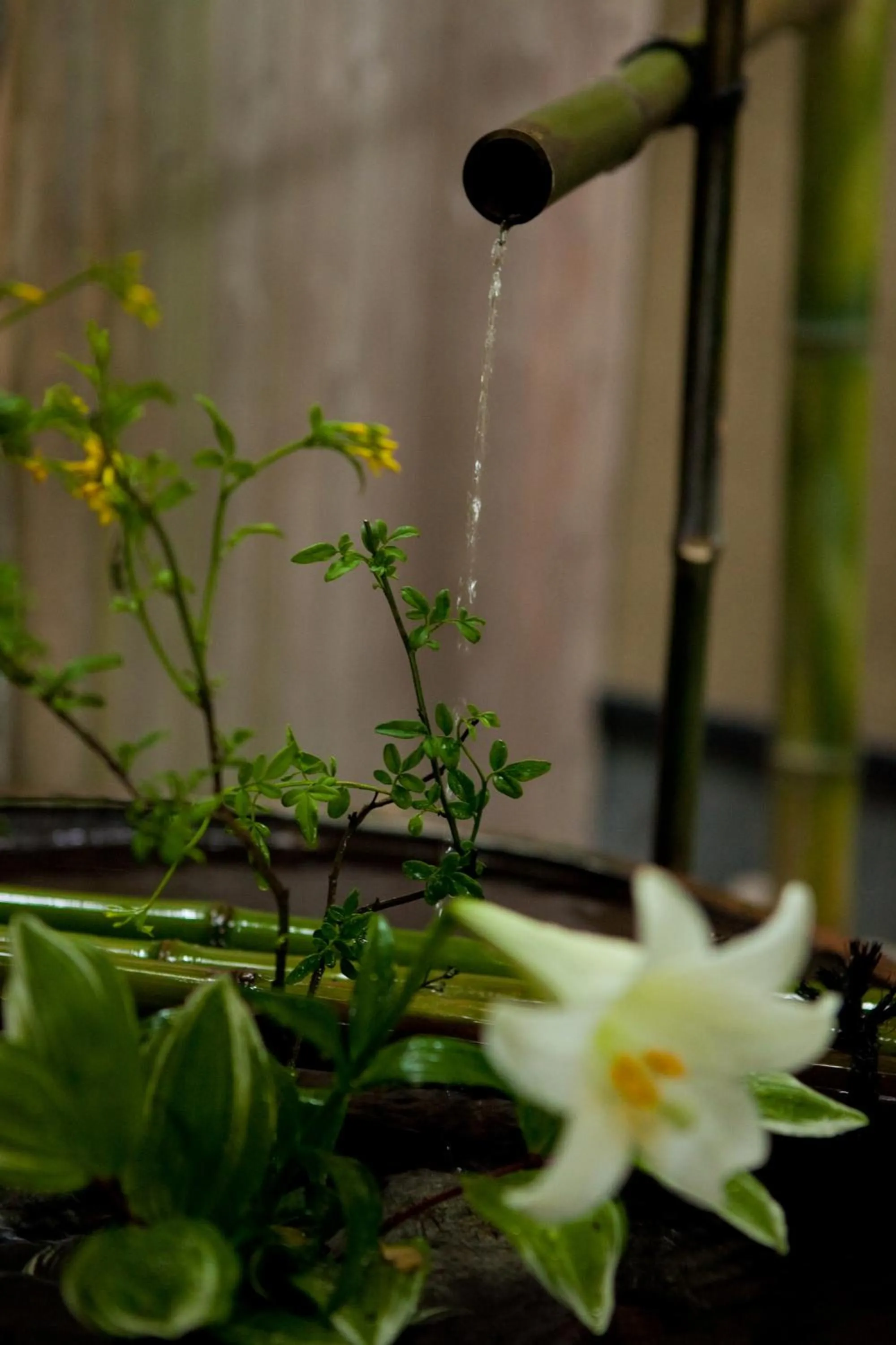 Decorative detail in Ryotei Tanokura