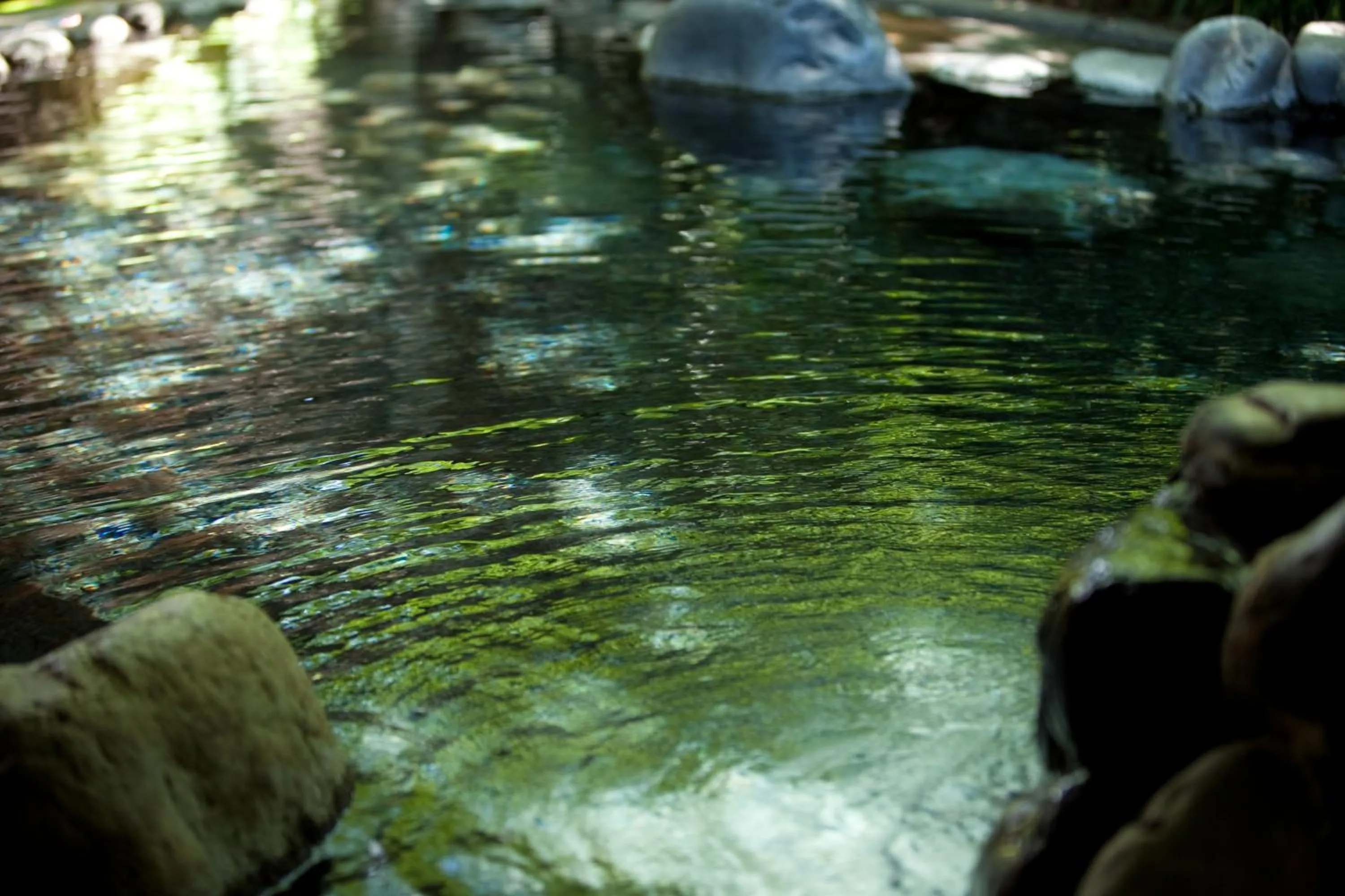 Day in Ryotei Tanokura