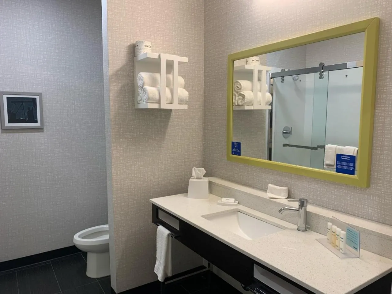 Bathroom in Hampton Inn Monahans, Tx