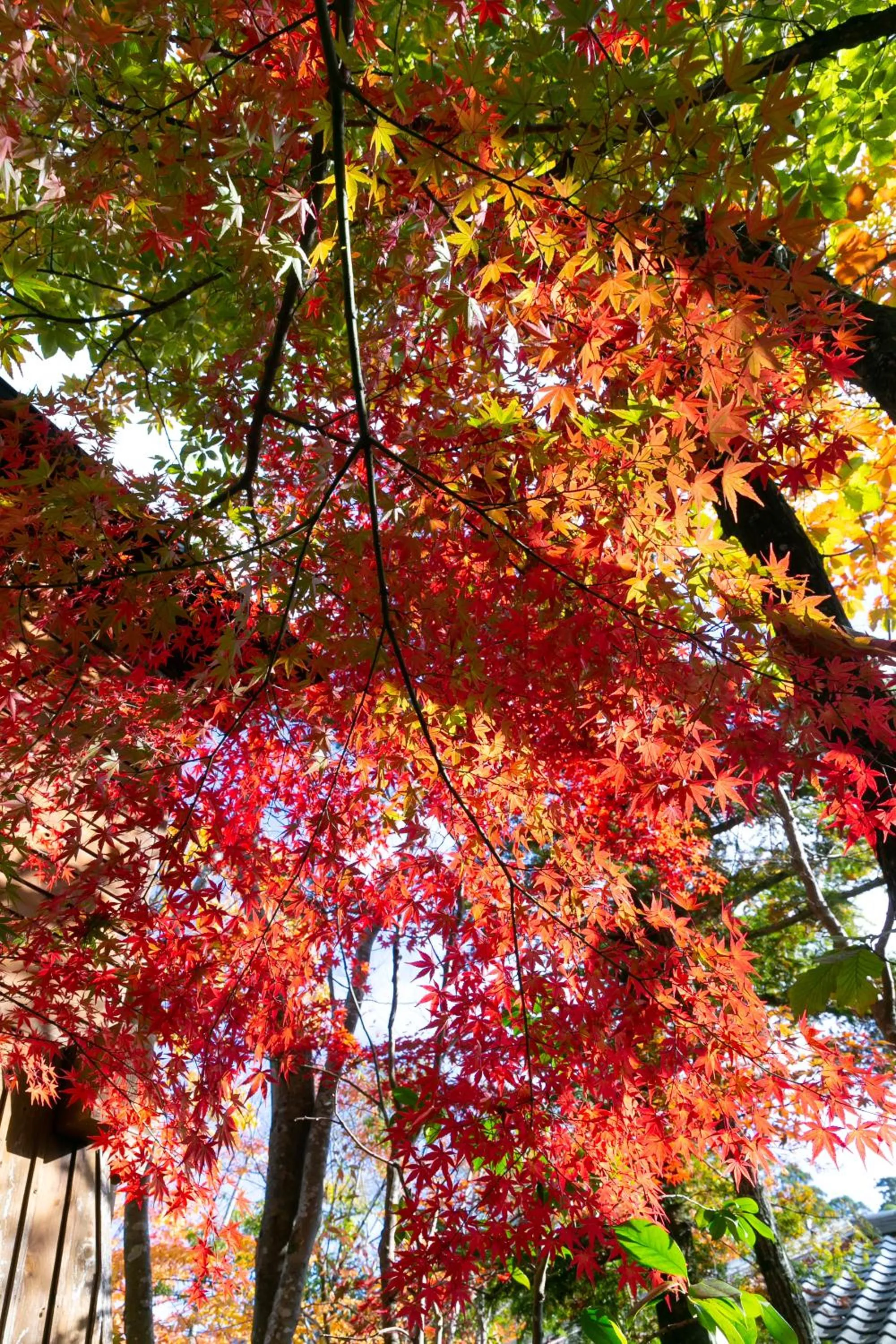 Kutsurogi-no-Yado Nanakawa