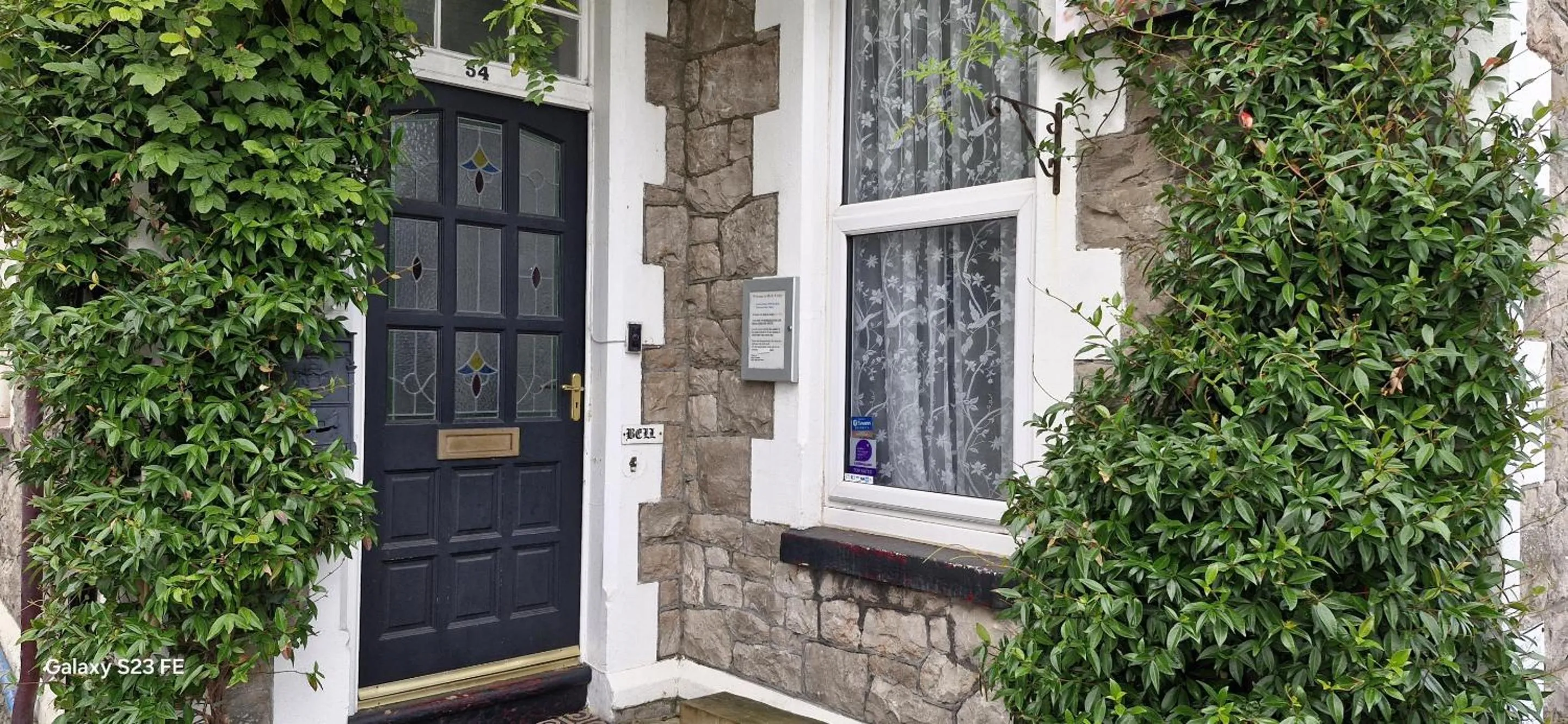 Garden in Holly Lodge