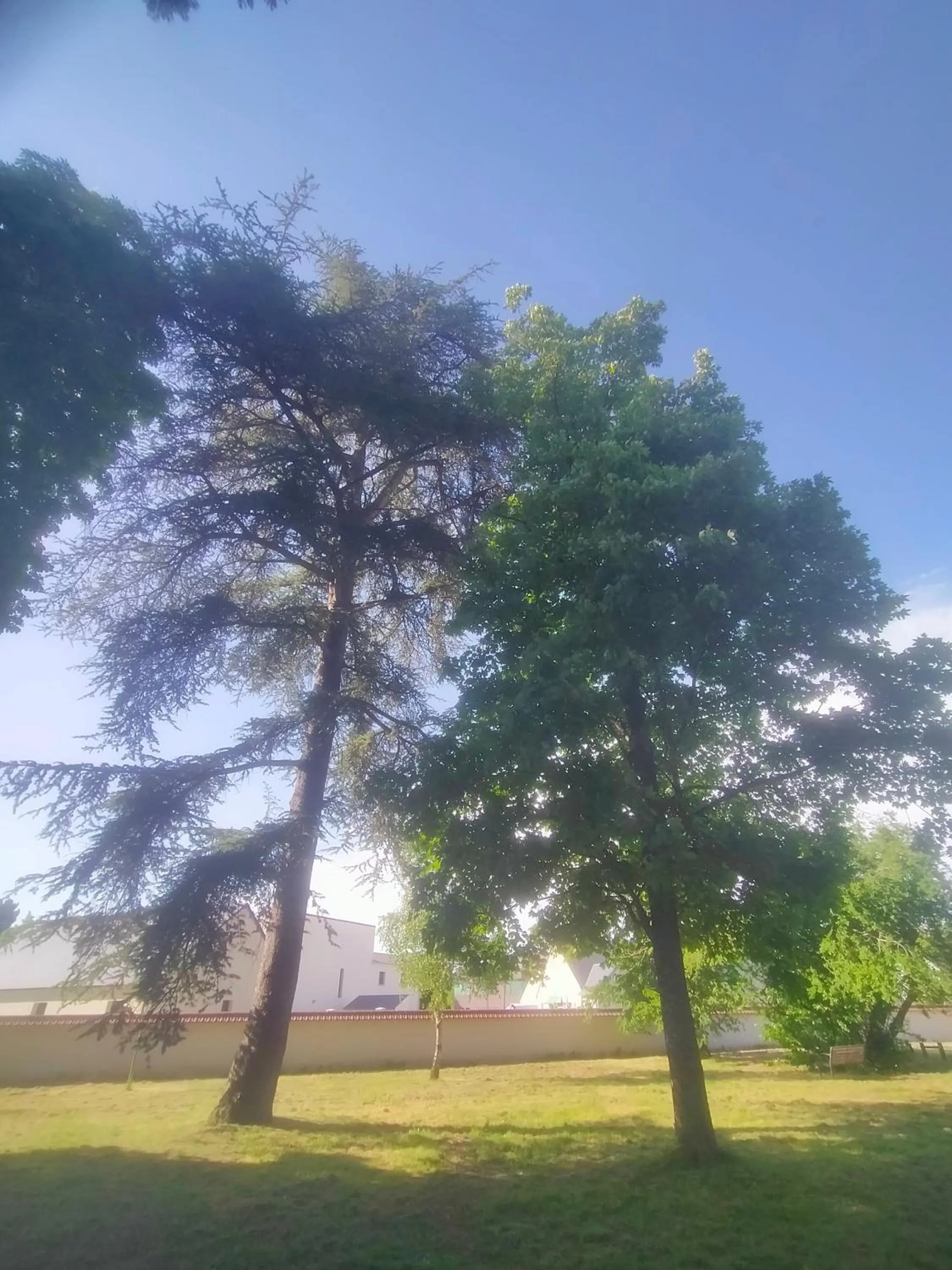 Logis Hotels Restaurants- Villa des Bordes