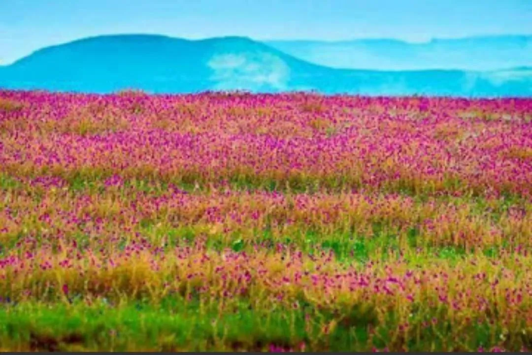 Natural landscape in Vamoose Laxmi Hill Resort