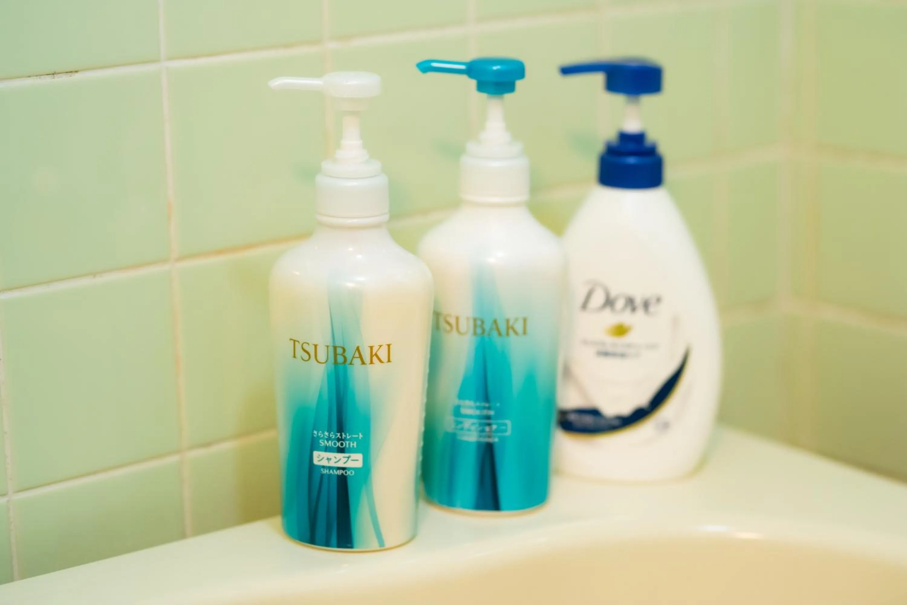 Yoyogi Apartment 2-401 by Tranova