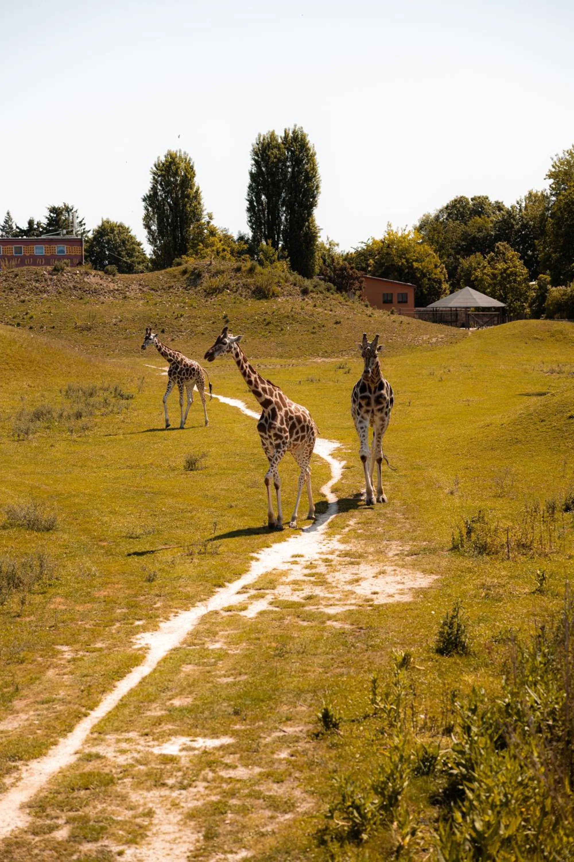 Nearby landmark in ART Hostel & Apartments