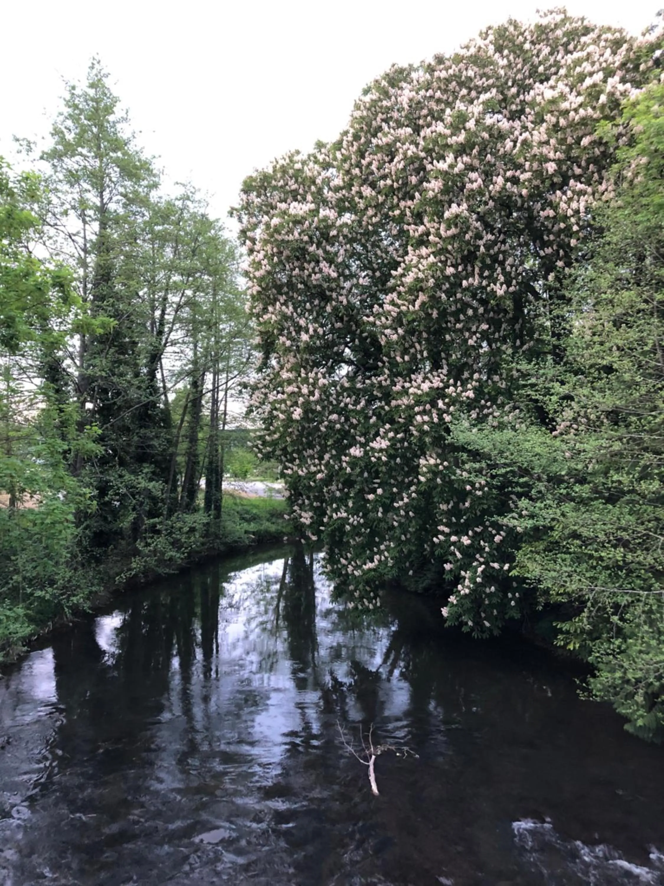 Natural landscape in Chambre-studio Le 42