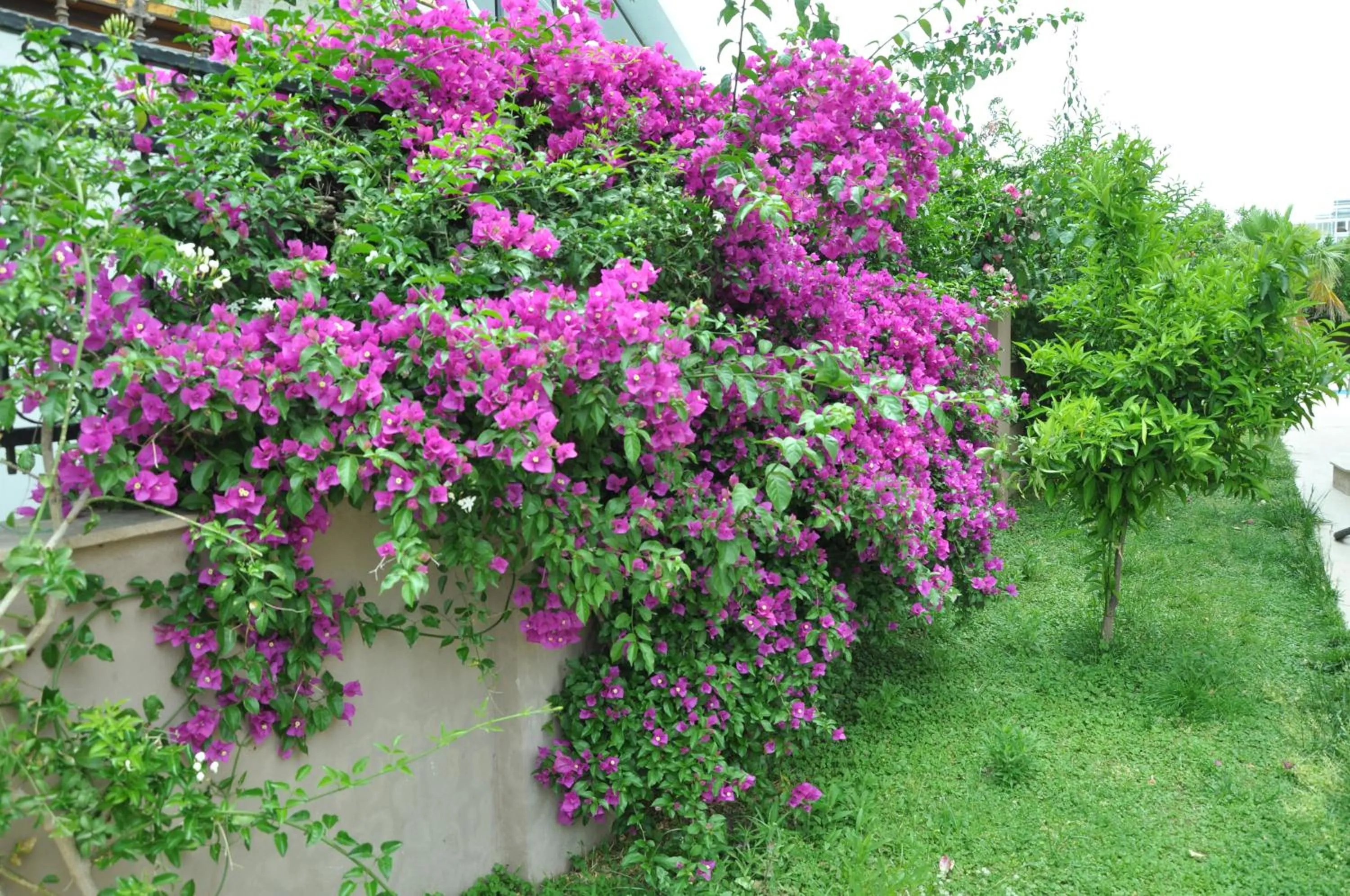 premium park apart otel