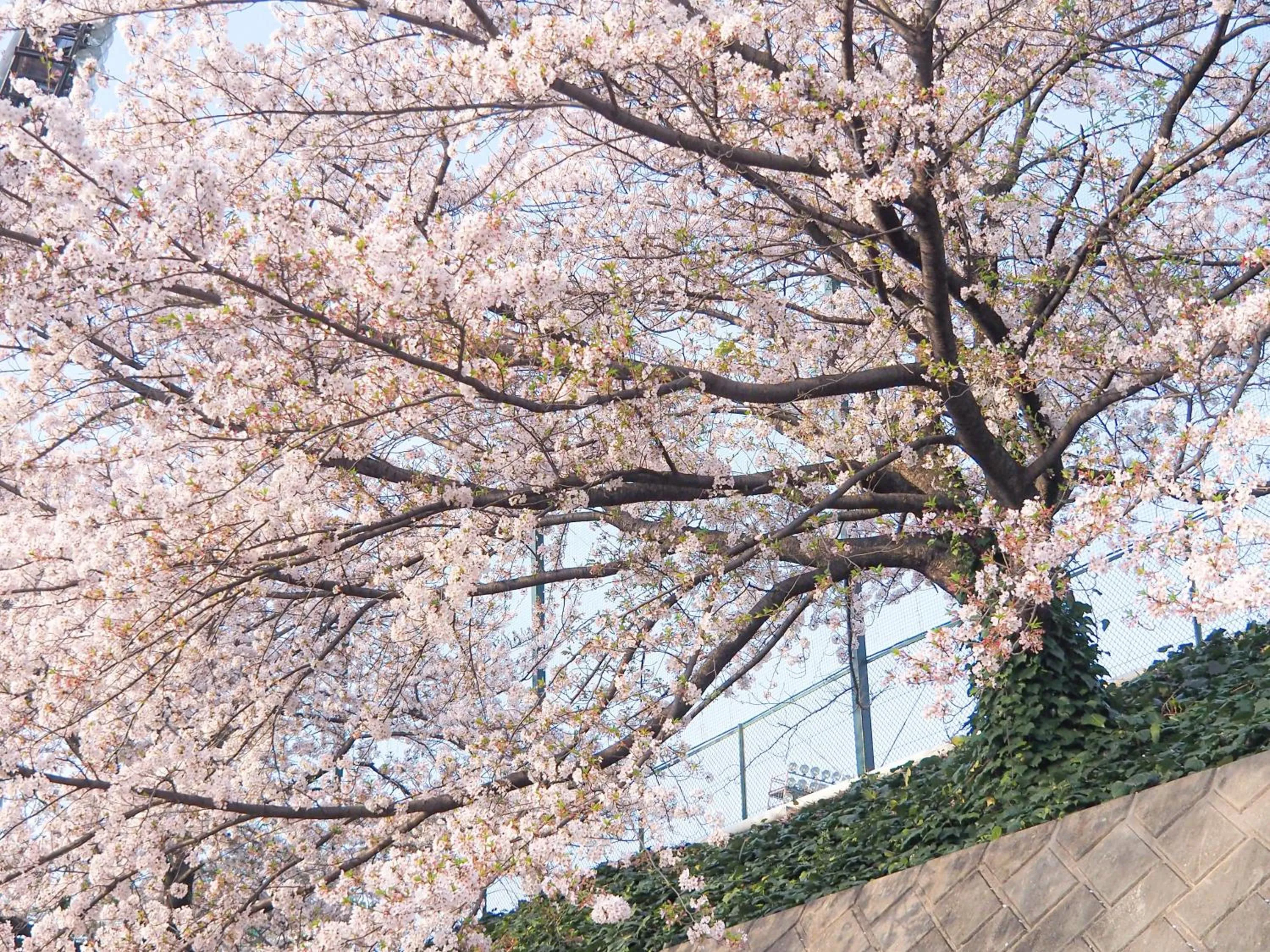 Nearby landmark in REF Omiya by VESSEL HOTELS