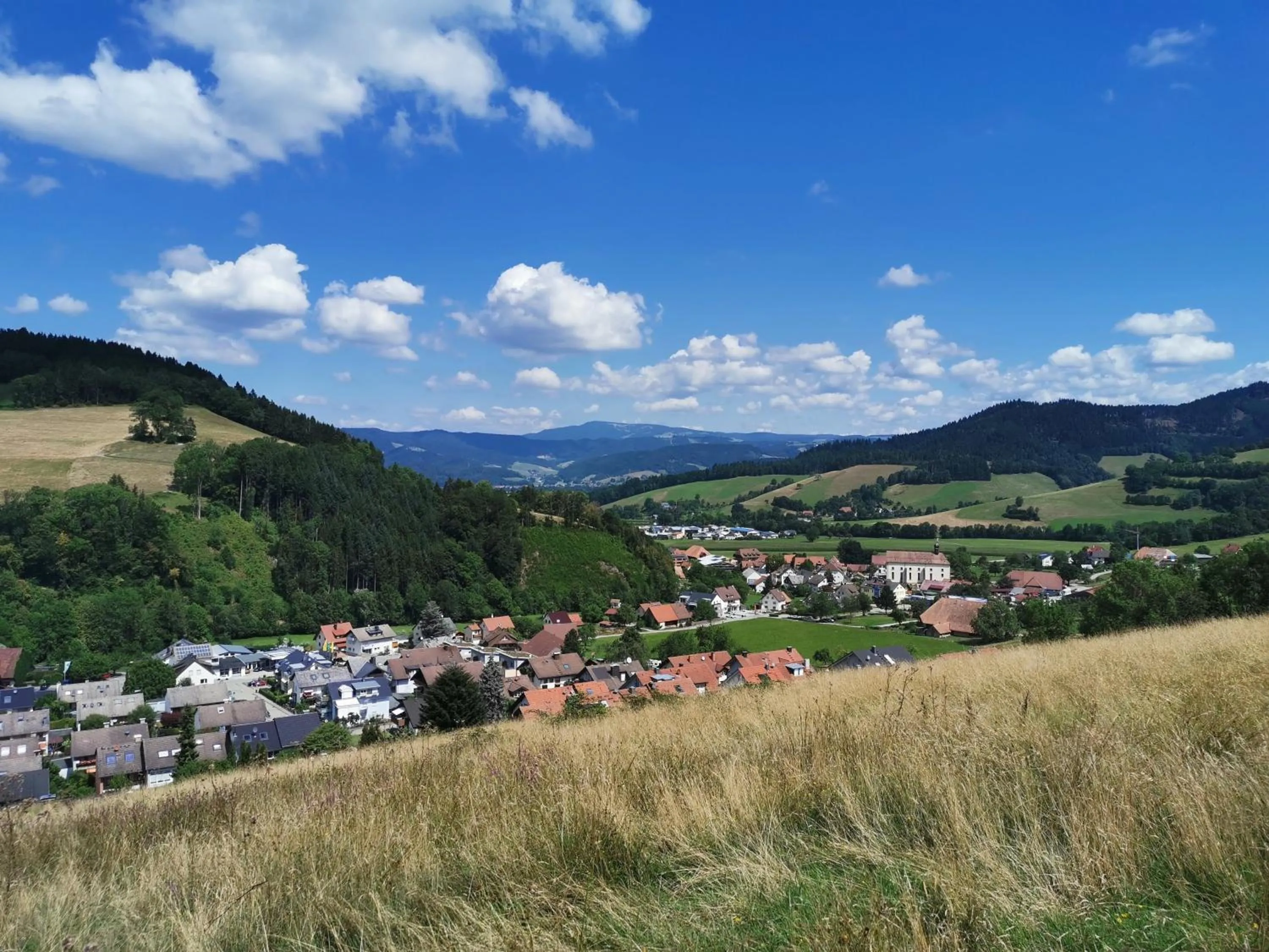 View (from property/room) in Goldener Adler Oberried - Hotel & Appartements