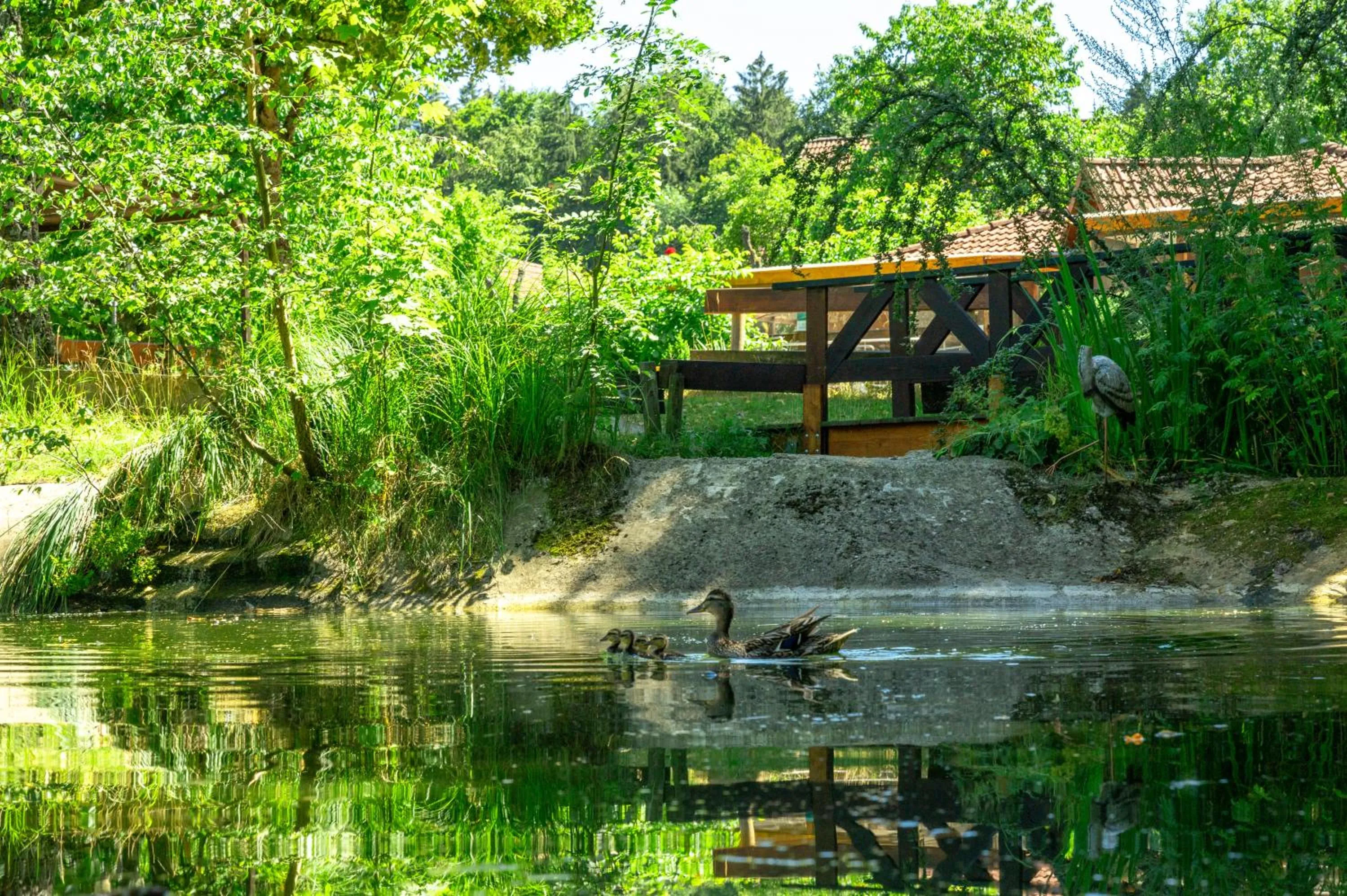 Garden in Hotel Schloßberg