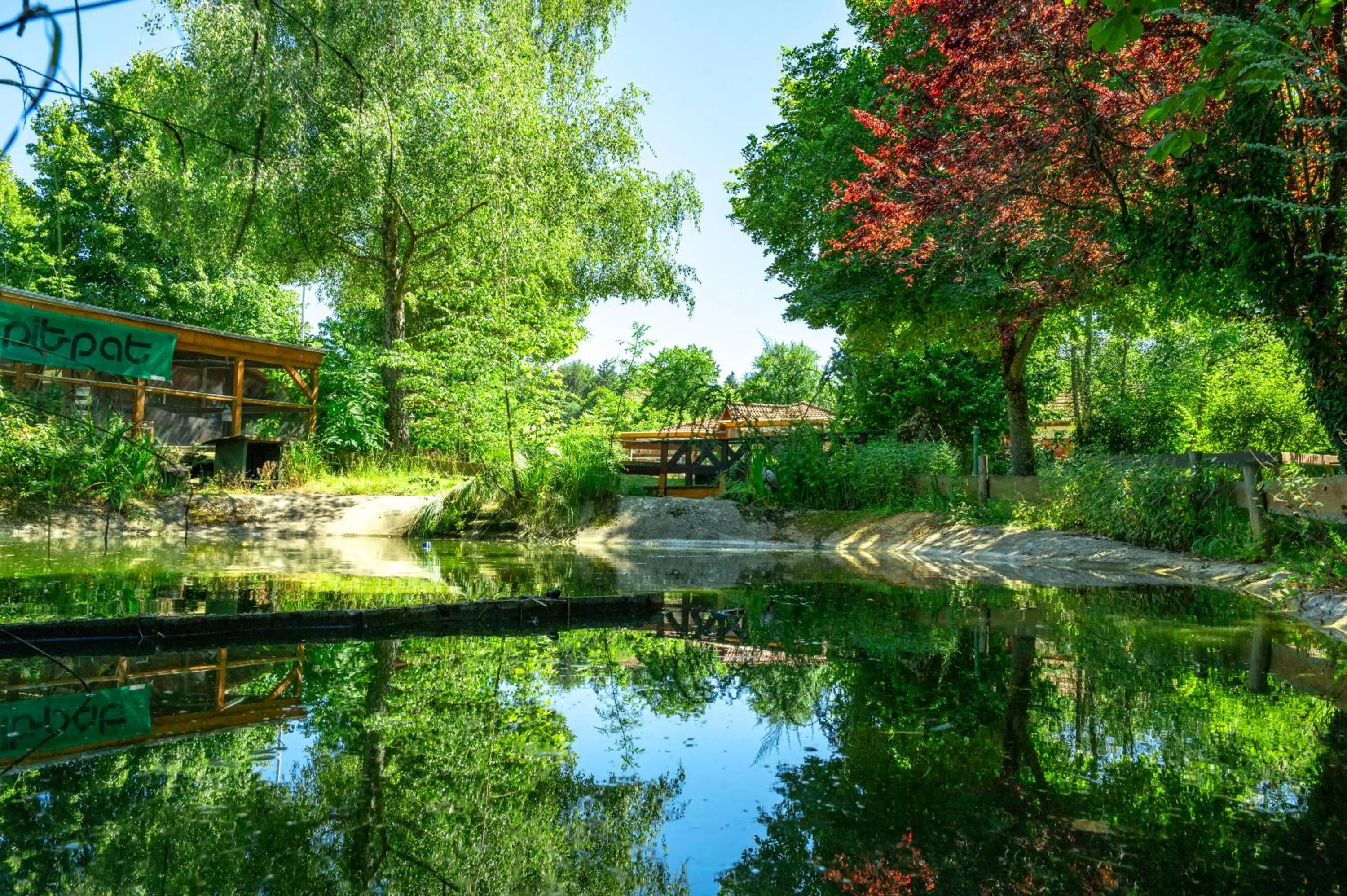 Garden in Hotel Schloßberg