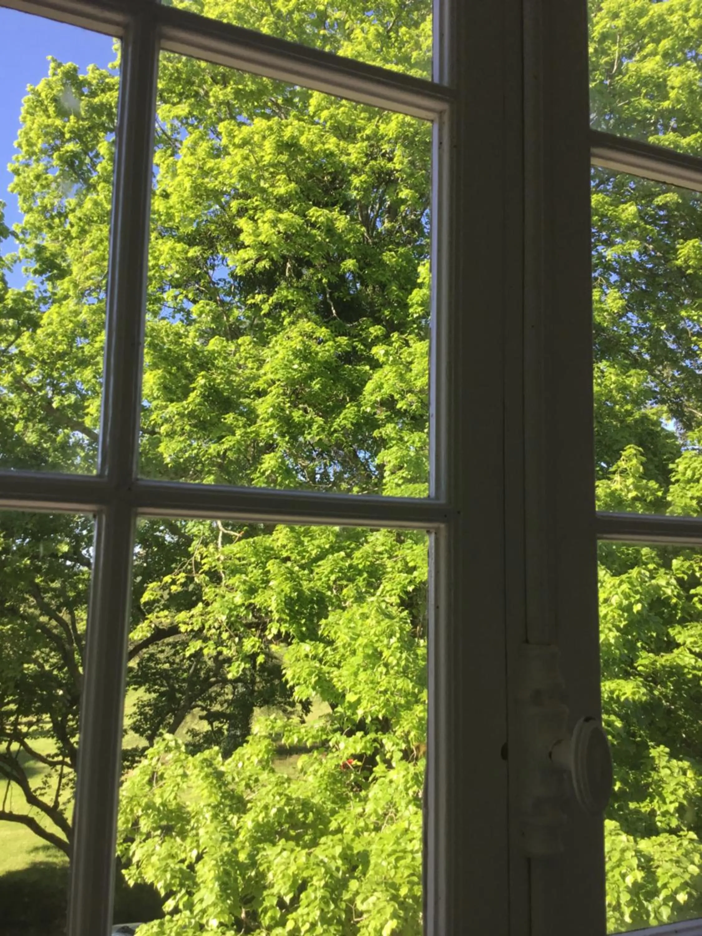 Summer in Château Destinée