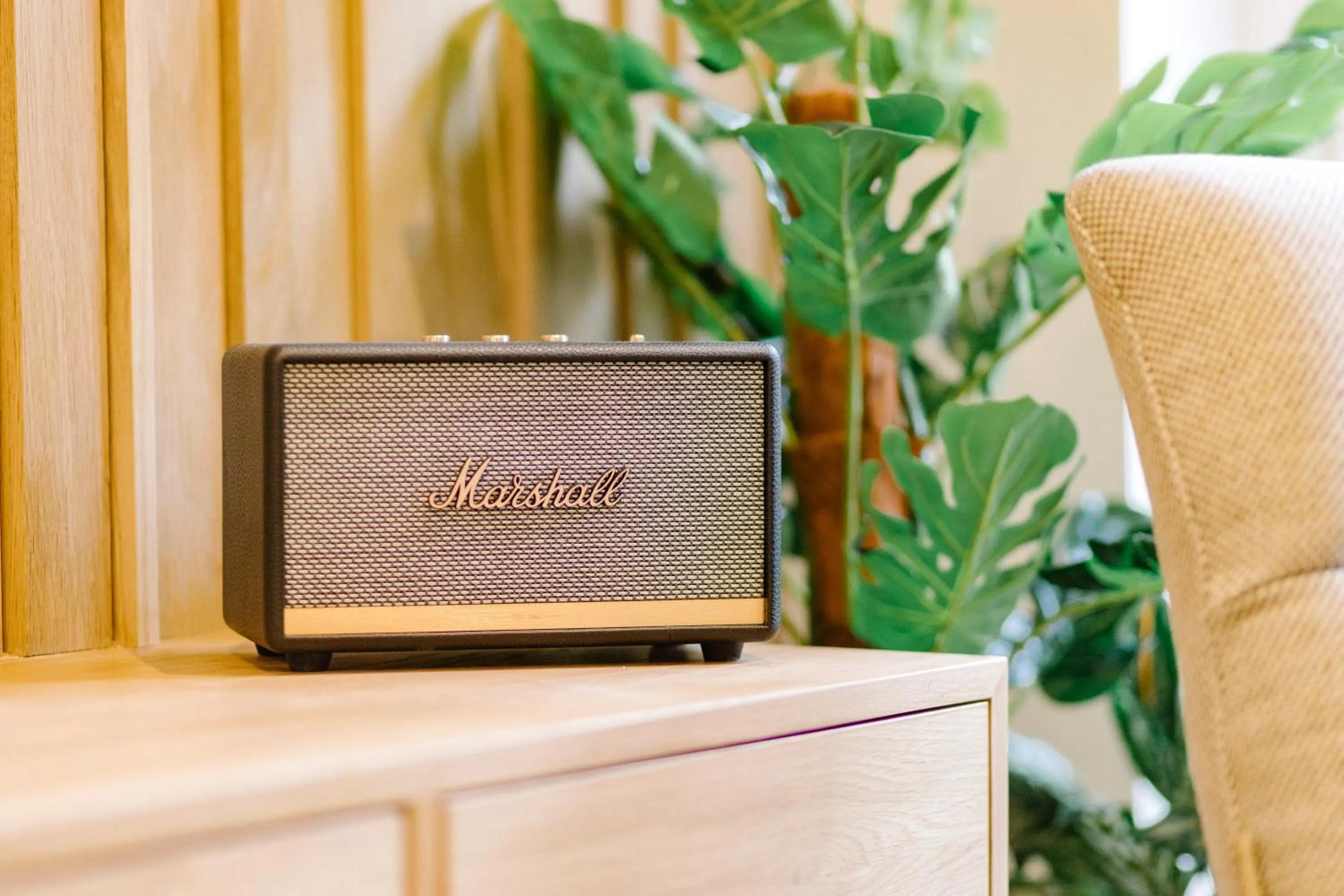 Decorative detail in No1 Apartments & Bedrooms St Andrews - St Mary's