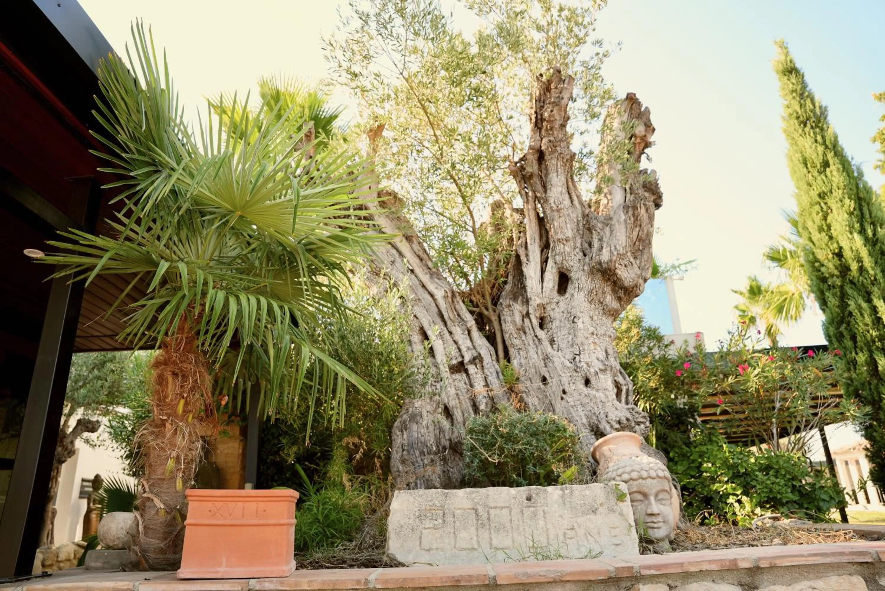 Mas La Farelle Gîte, Fitness & Salle de jeux gratuite & SPA en supplément