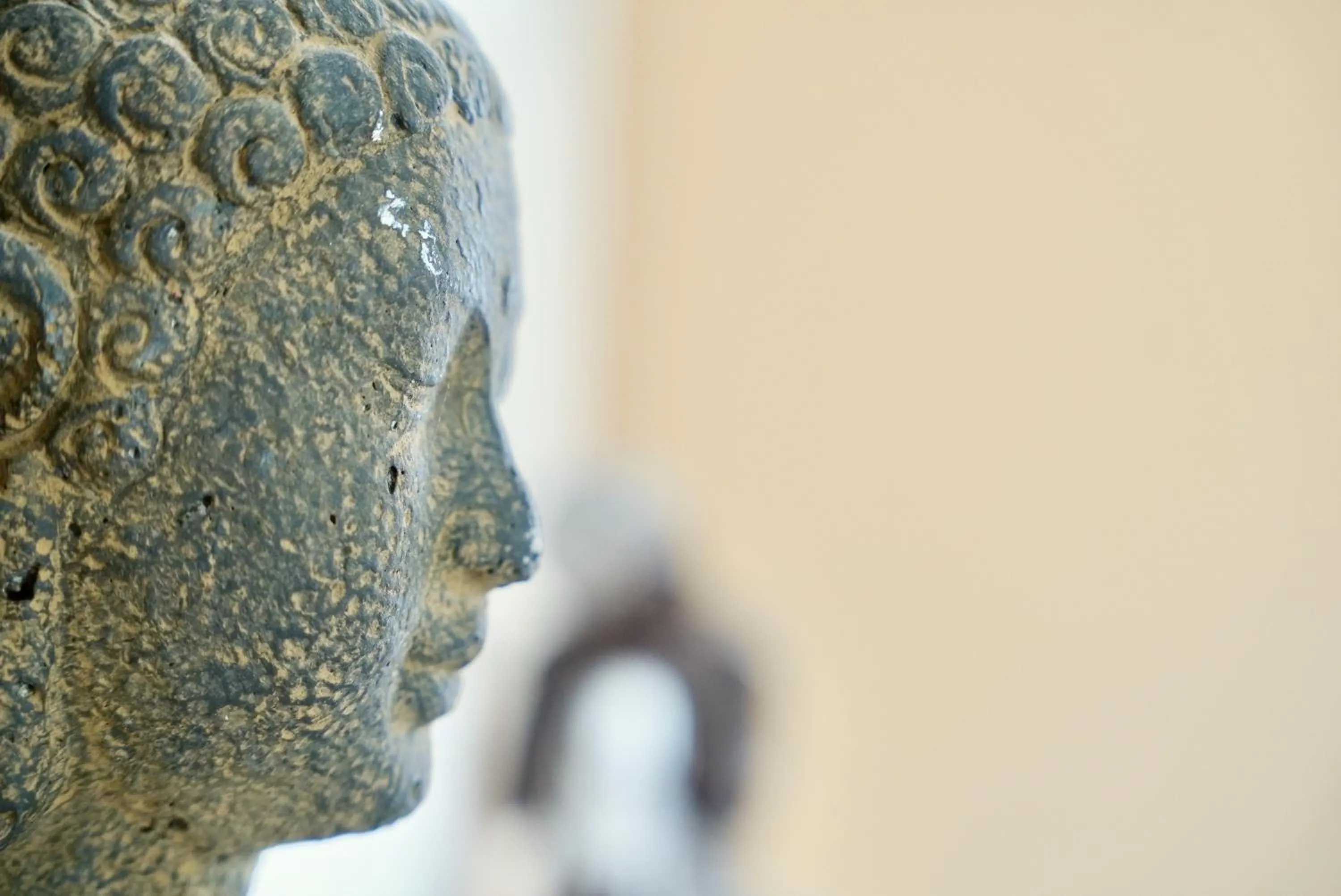 Mas La Farelle Gîte, Fitness & Salle de jeux gratuite & SPA en supplément