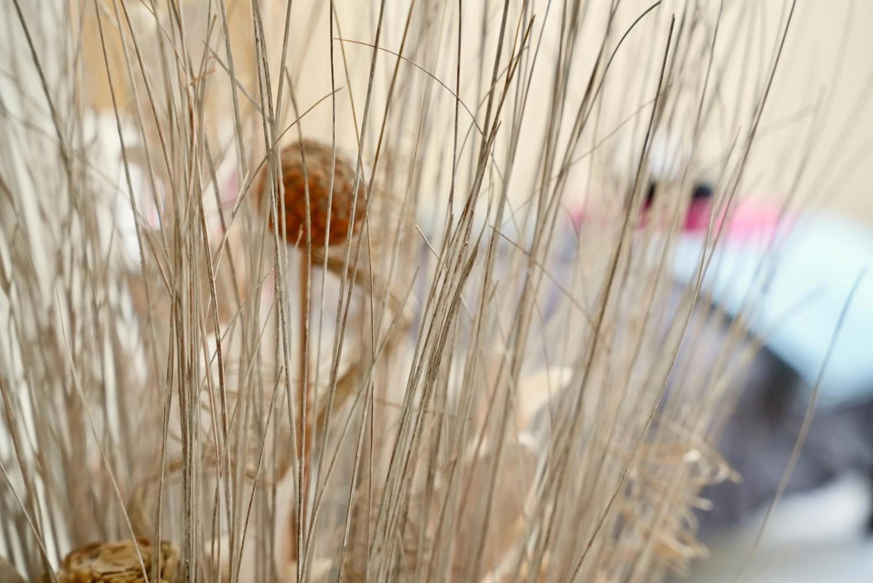 Mas La Farelle Gîte, Fitness & Salle de jeux gratuite & SPA en supplément