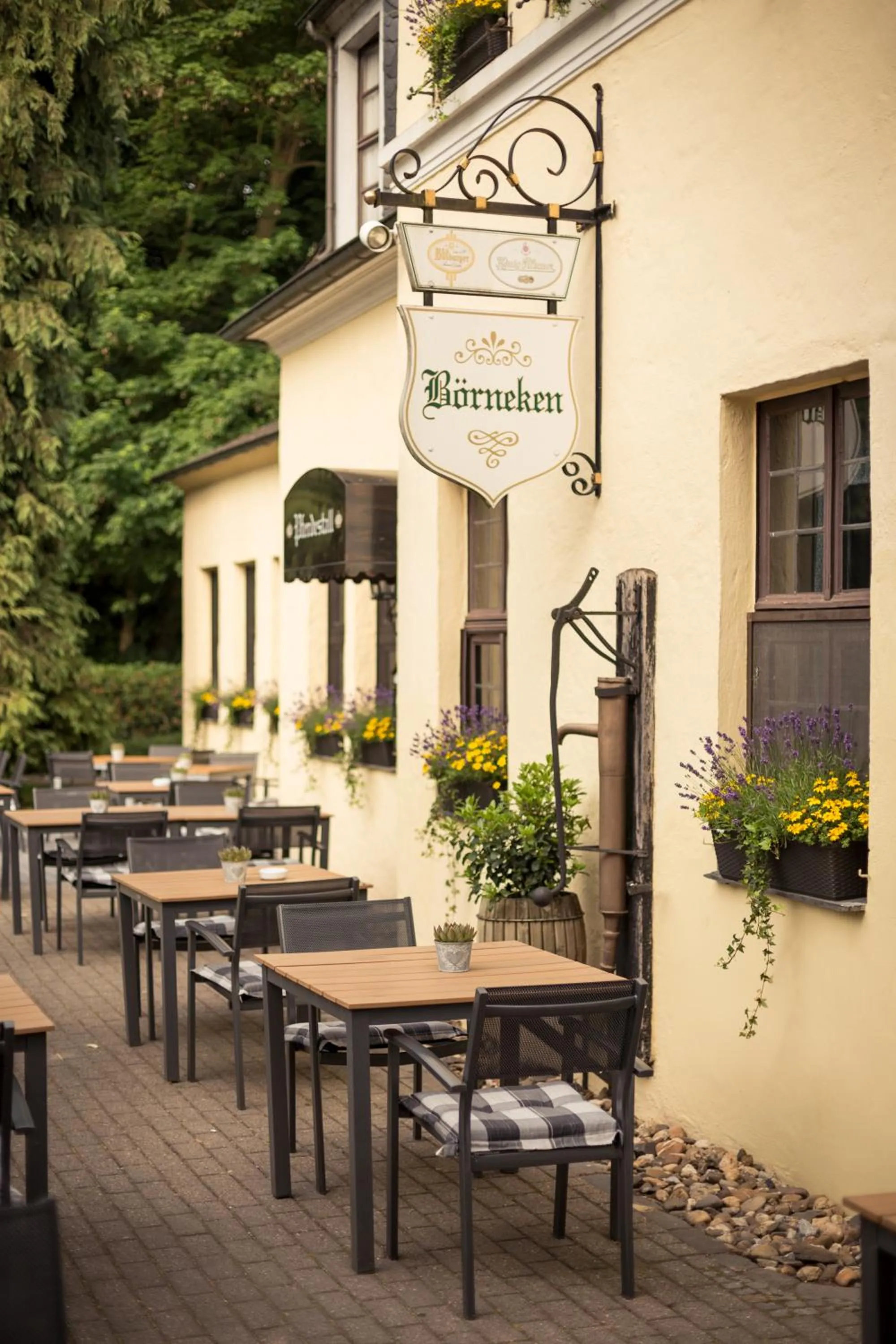 Restaurant/places to eat in Parkhotel Hohenfeld Münster