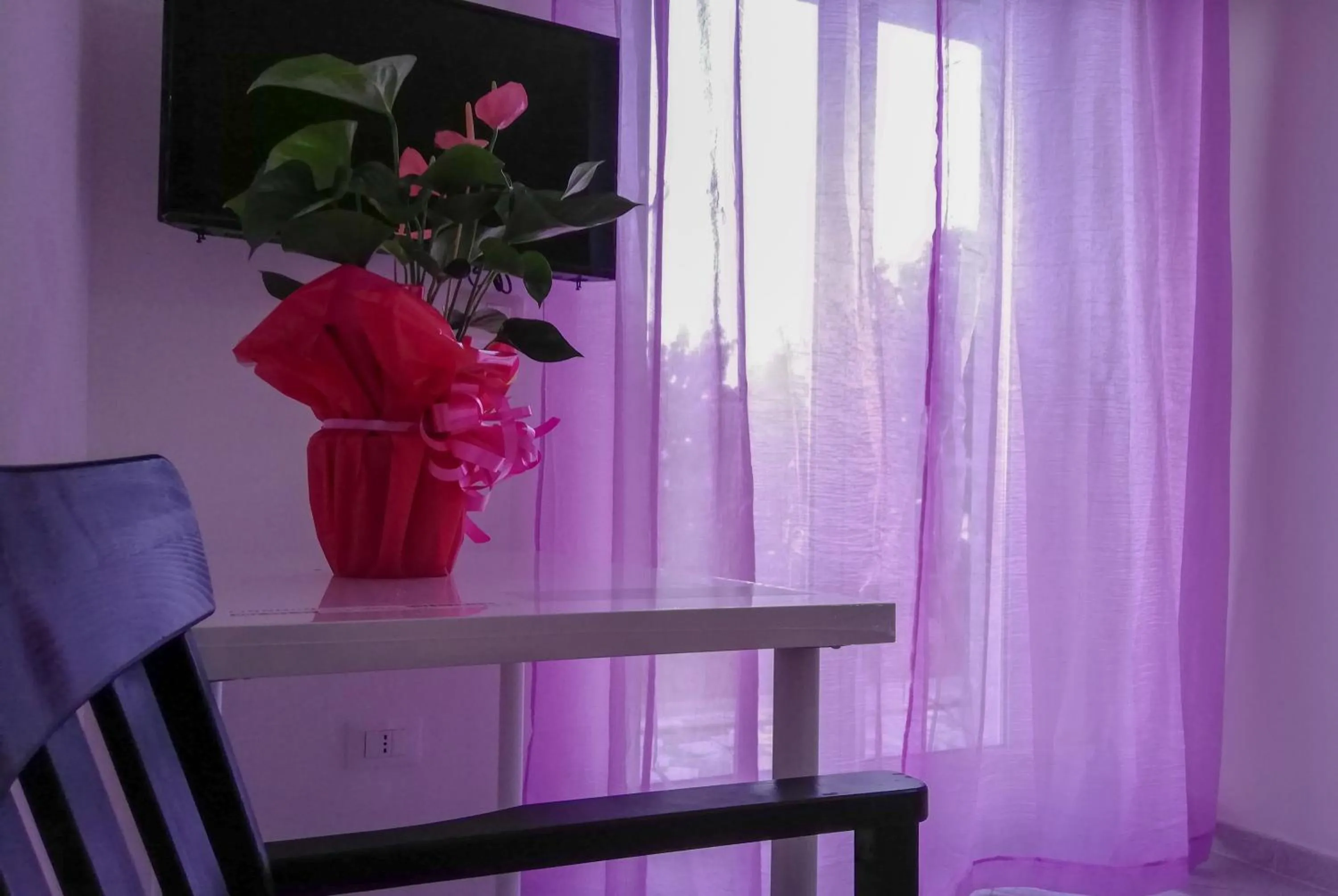 TV and multimedia in B&B Collemare