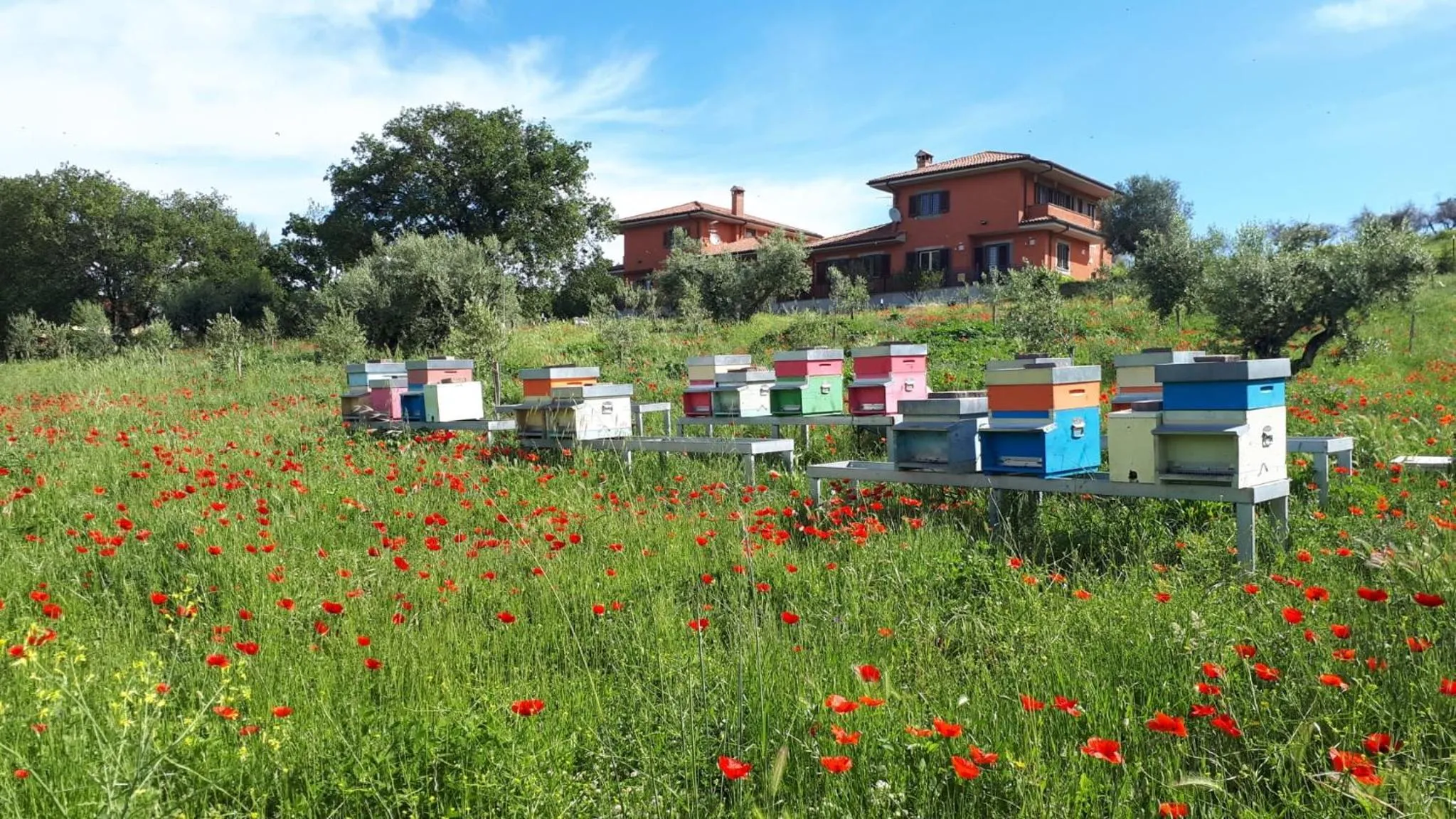 Natural landscape in B&B Bee