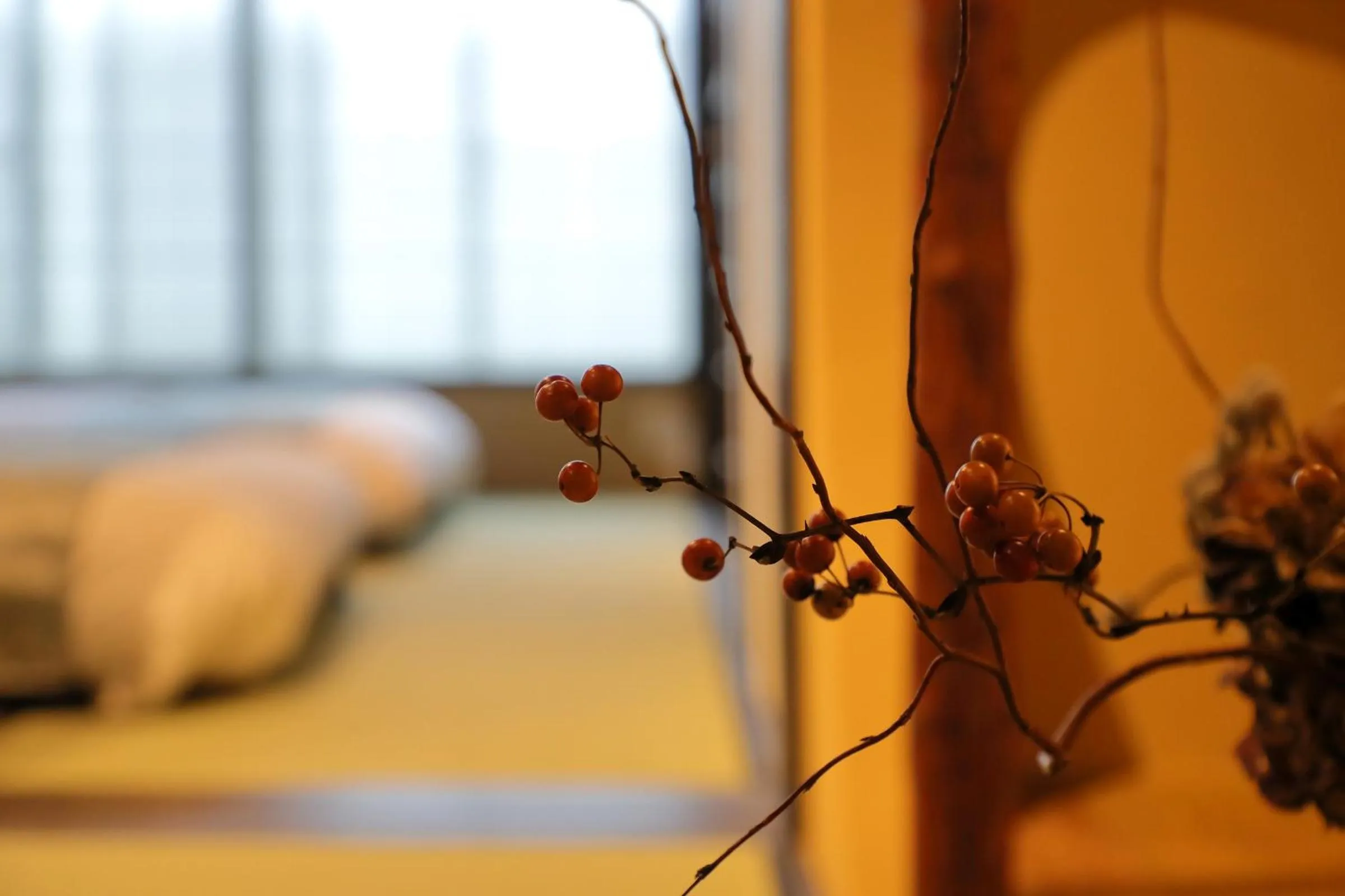 Other, Bed in Kyo no oozora SAIKA