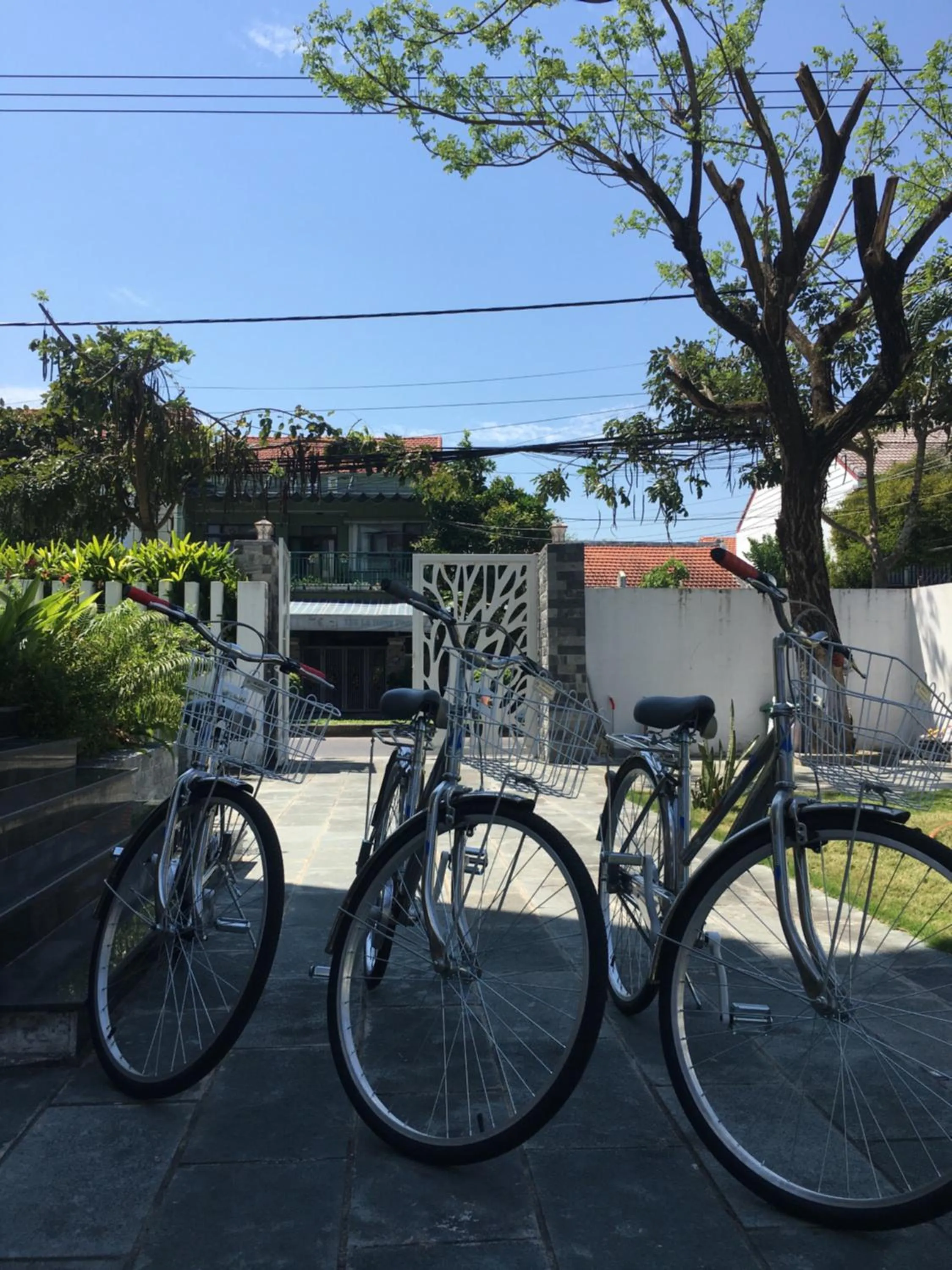 Day in Bespoke Villa Hoian