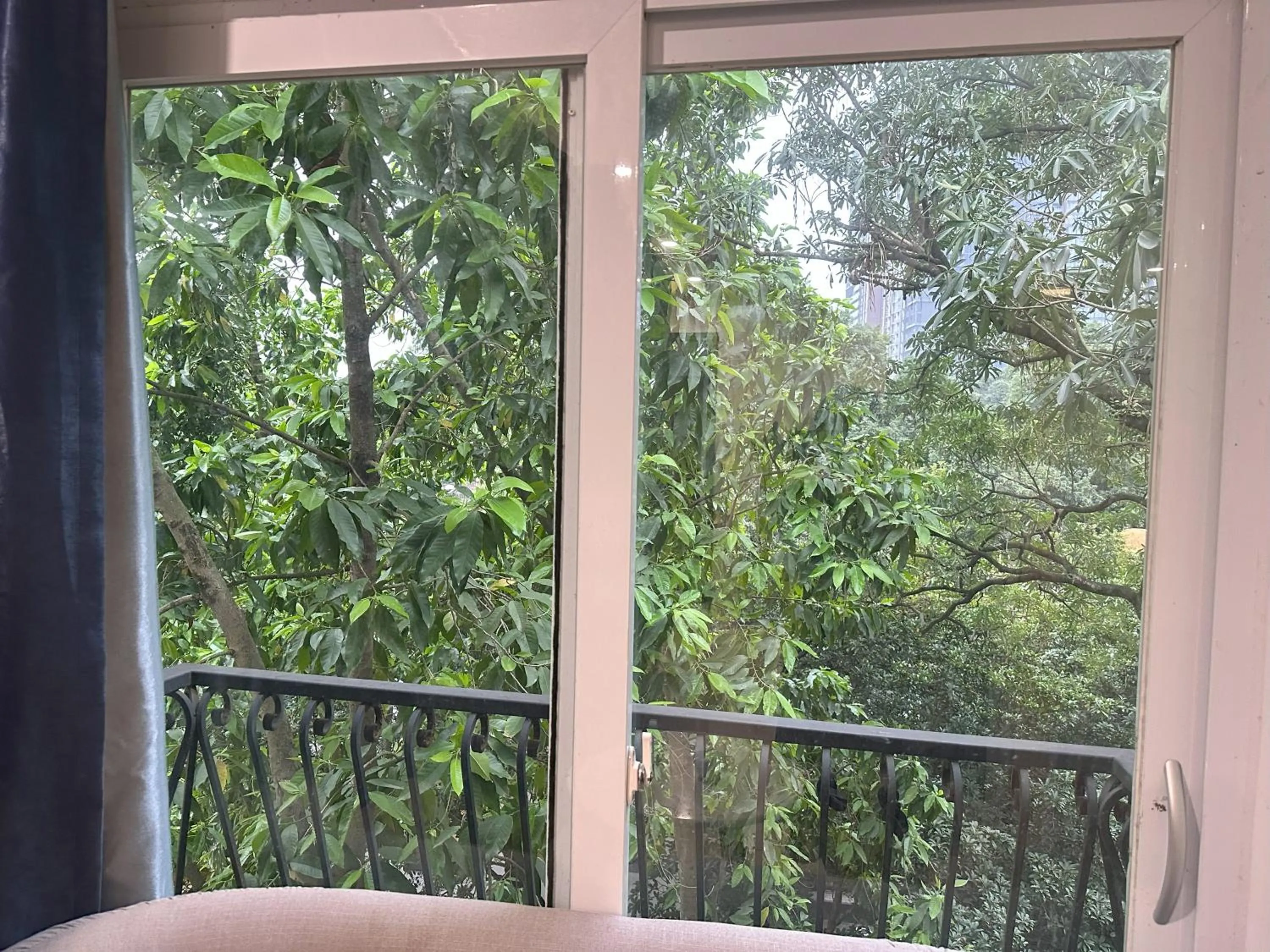 Day in The Lakeview - West Lake Lotus Apartments