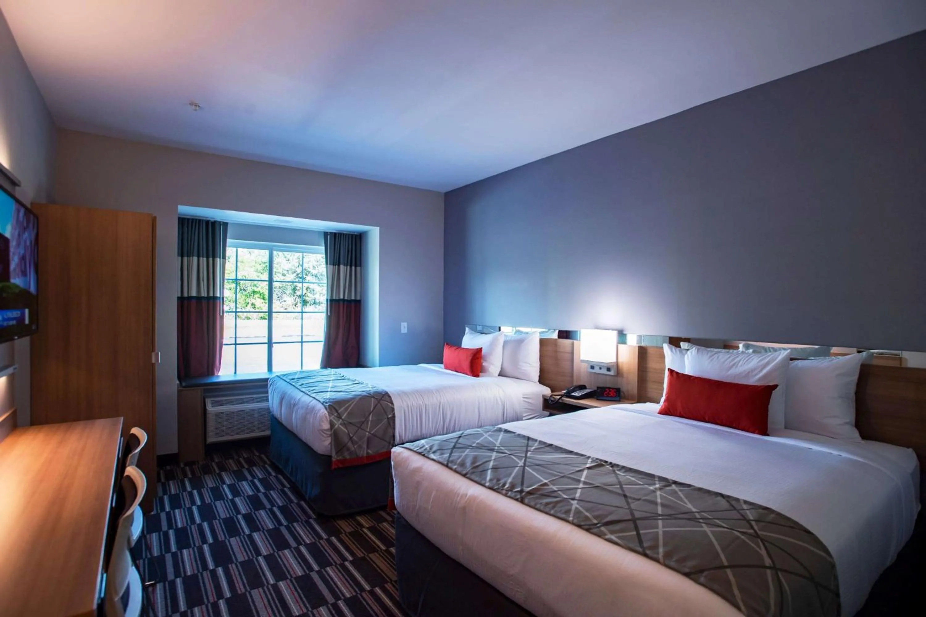 Photo of the whole room, Bed in Microtel Inn & Suites by Wyndham Amsterdam NY