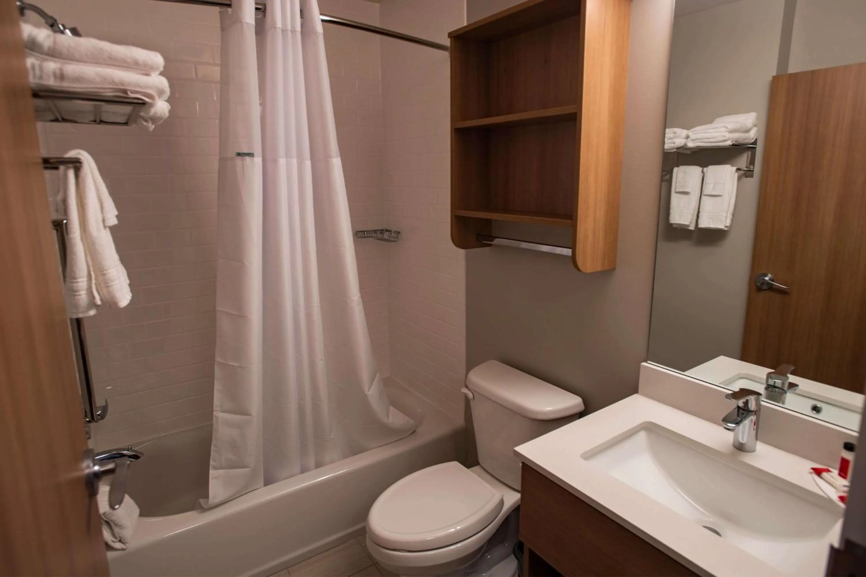 Bathroom in Microtel Inn & Suites by Wyndham Amsterdam NY