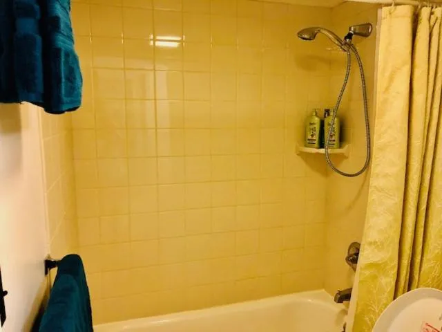 Shower in French Banyan